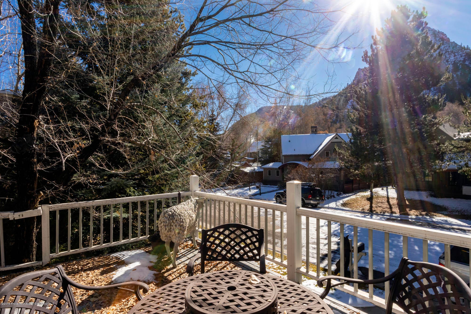 728 W Bleeker Street, Aspen, CO 81611 - Photo 15