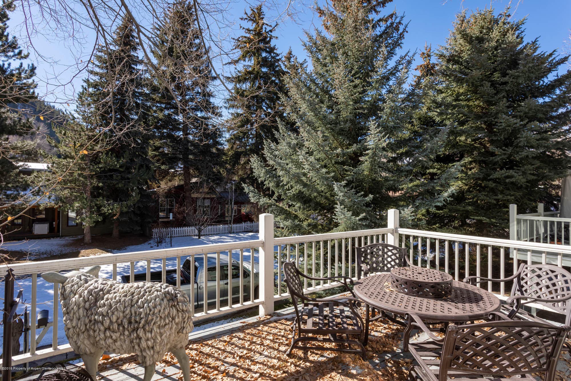 728 W Bleeker Street, Aspen, CO 81611 - Photo 16