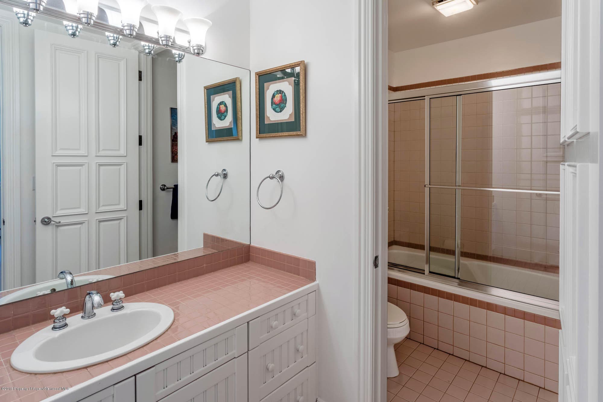 728 W Bleeker Street, Aspen, CO 81611 - Photo 14