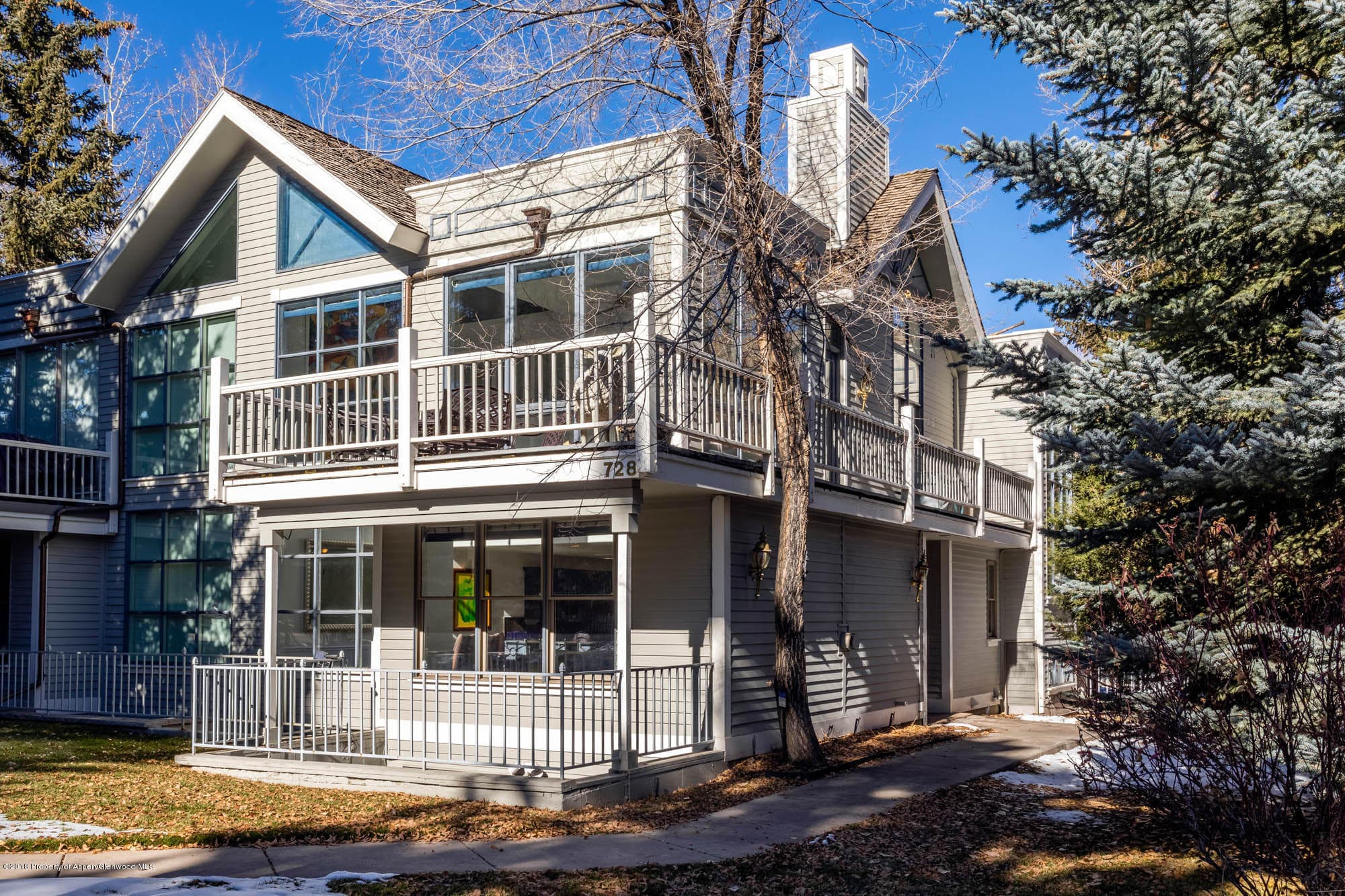 728 W Bleeker Street, Aspen, CO 81611 - Photo 19