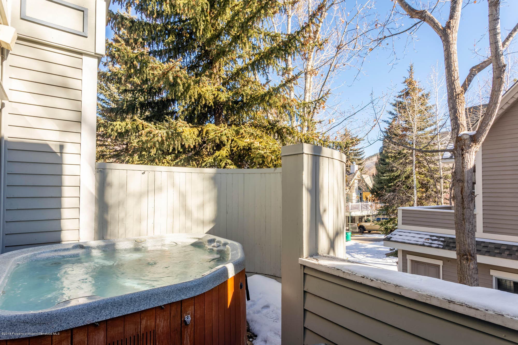728 W Bleeker Street, Aspen, CO 81611 - Photo 23