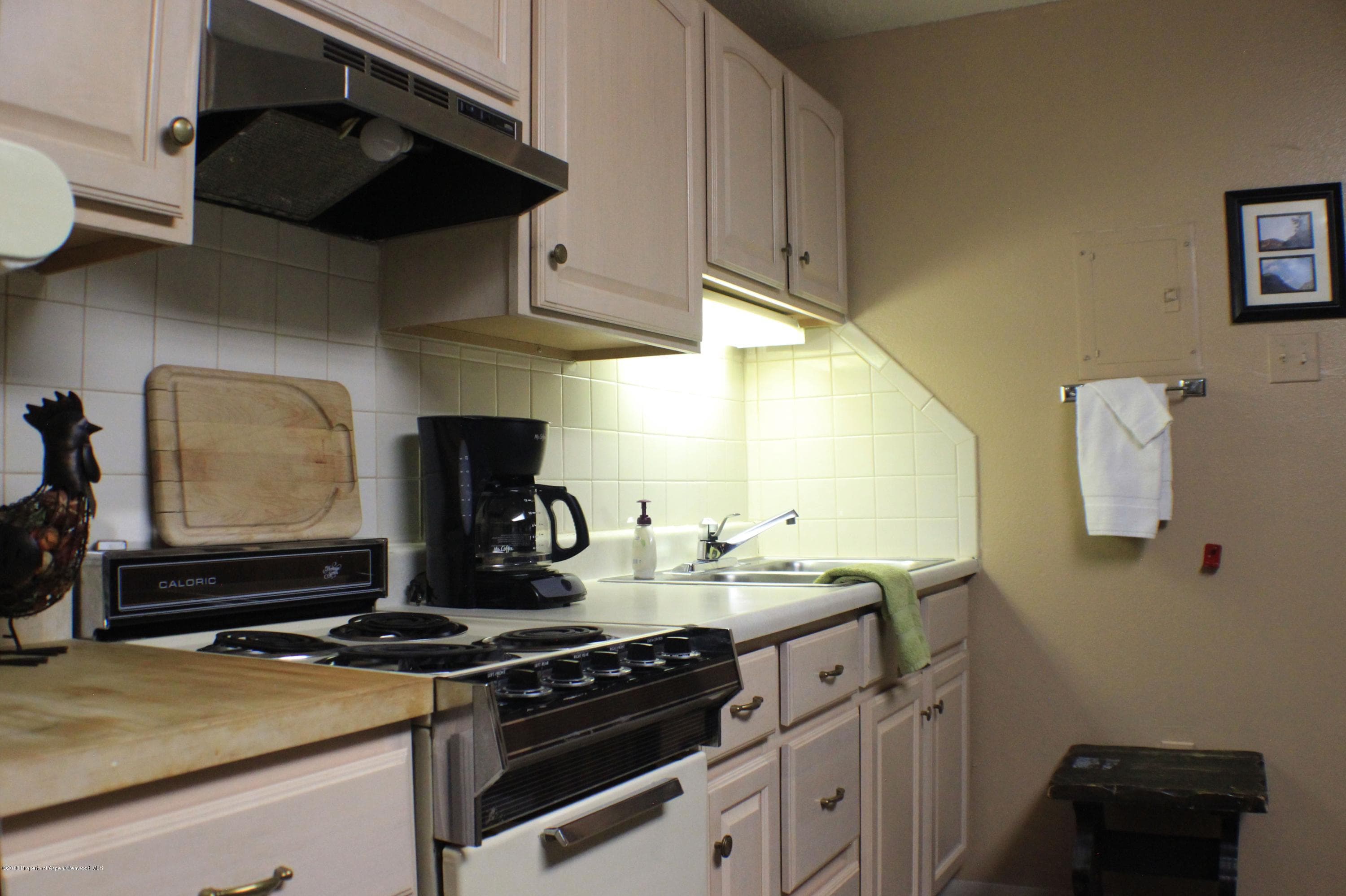 11101 County Road 117 G-2, Glenwood Springs, CO 81601 - Photo 8