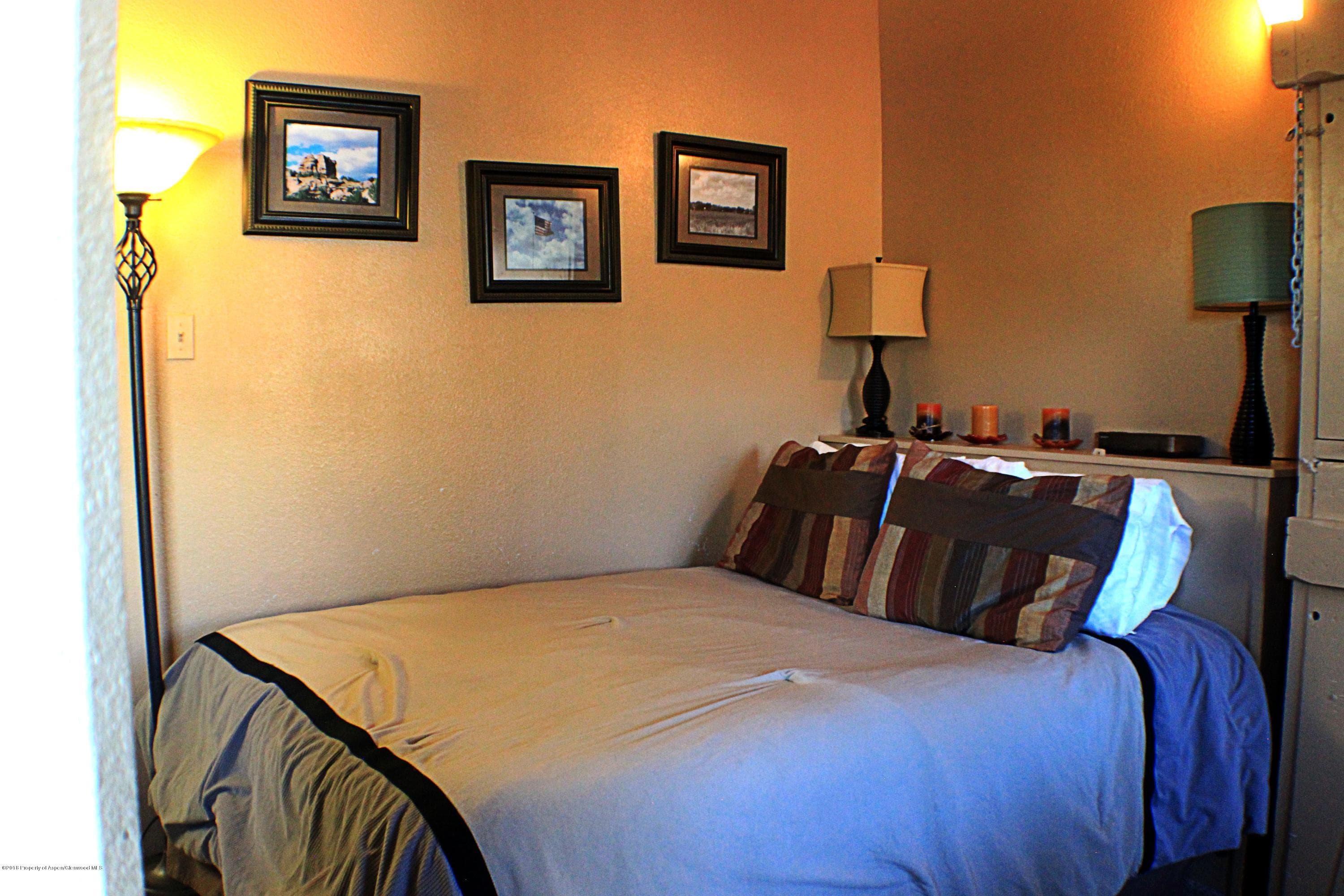 11101 County Road 117 G-2, Glenwood Springs, CO 81601 - Photo 5
