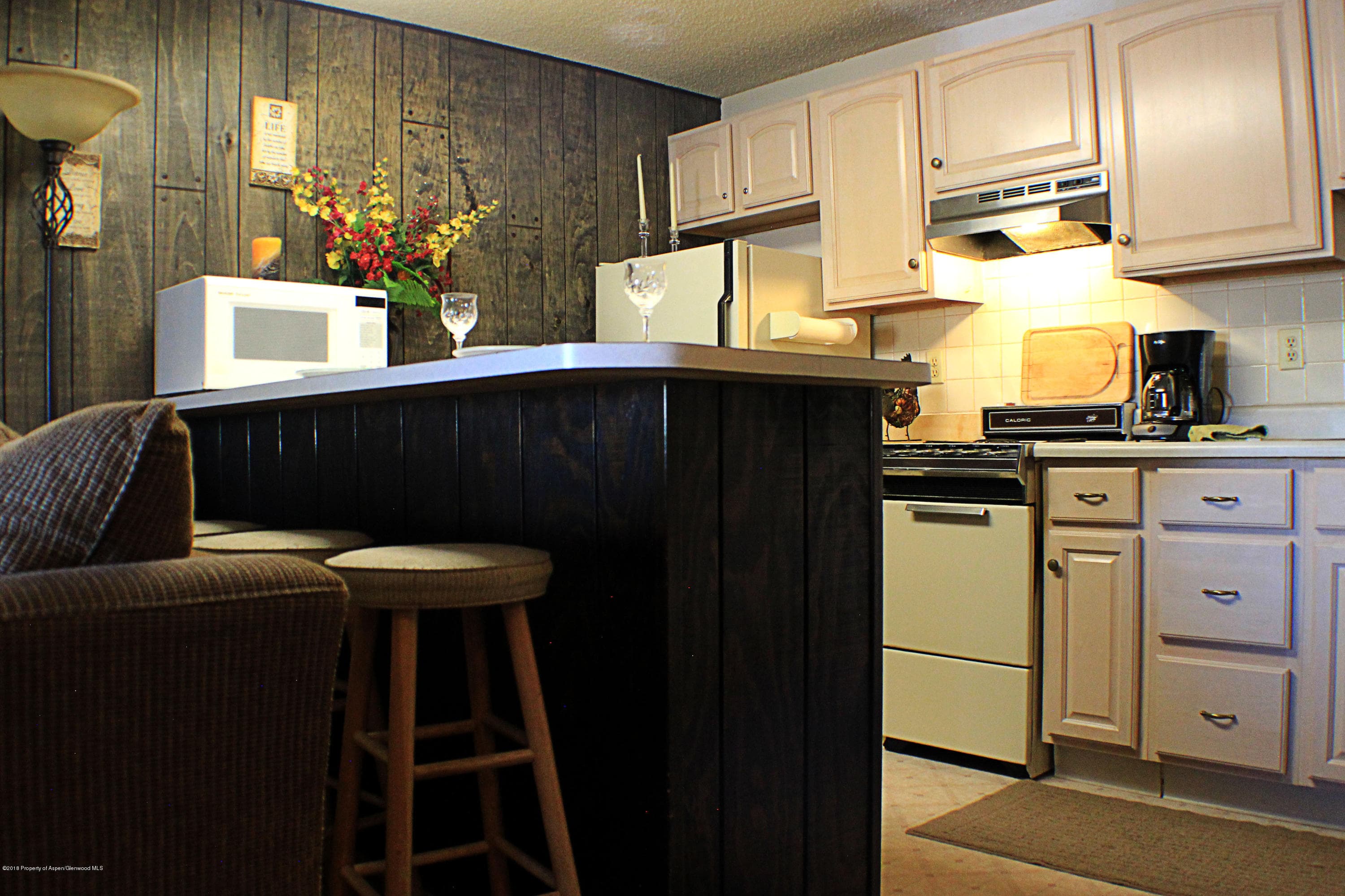 11101 County Road 117 G-2, Glenwood Springs, CO 81601 - Photo 11
