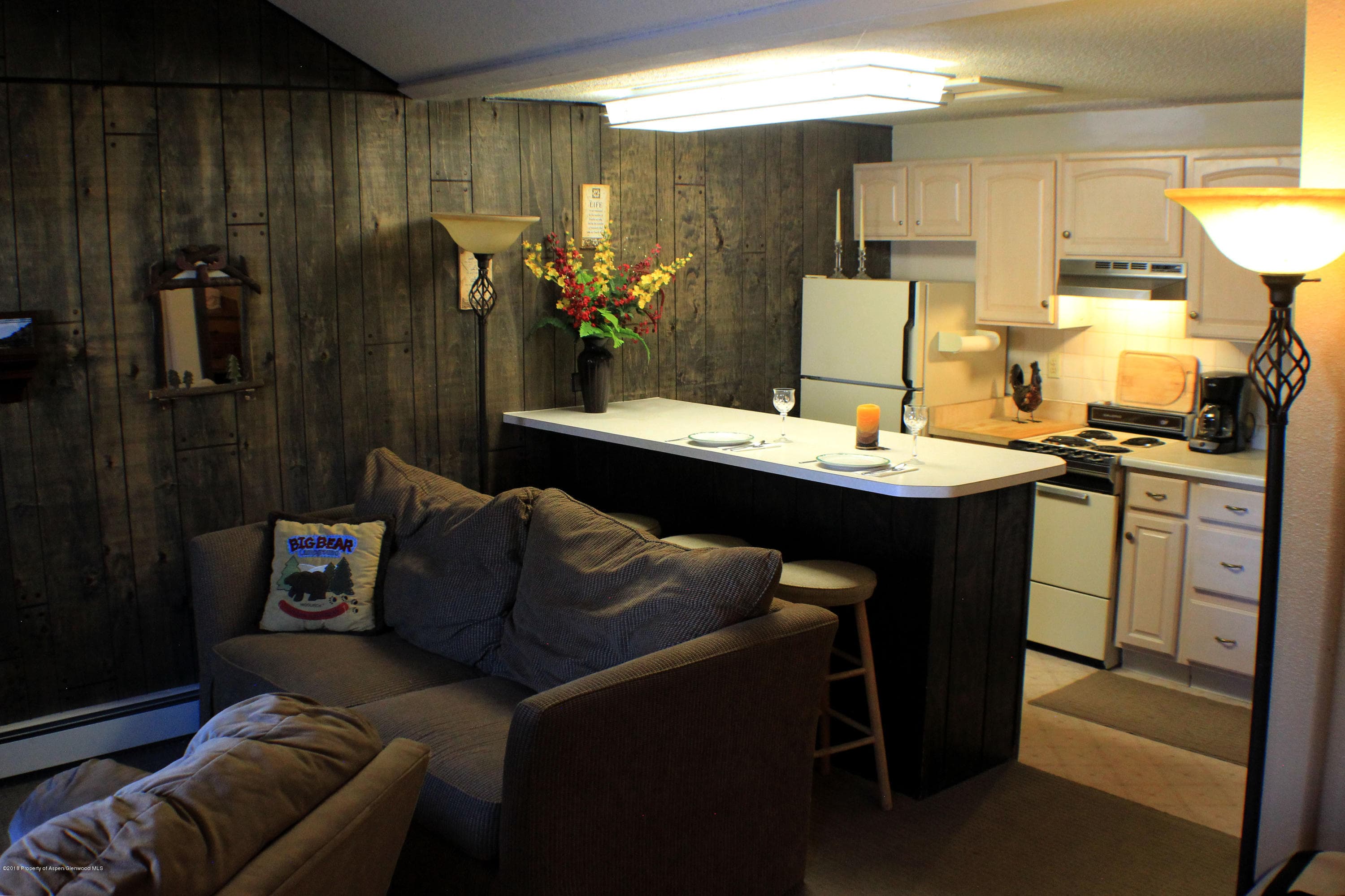 11101 County Road 117 G-2, Glenwood Springs, CO 81601 - Photo 12