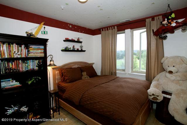 208 Lakeside Court, Basalt, CO 81621 - Photo 12