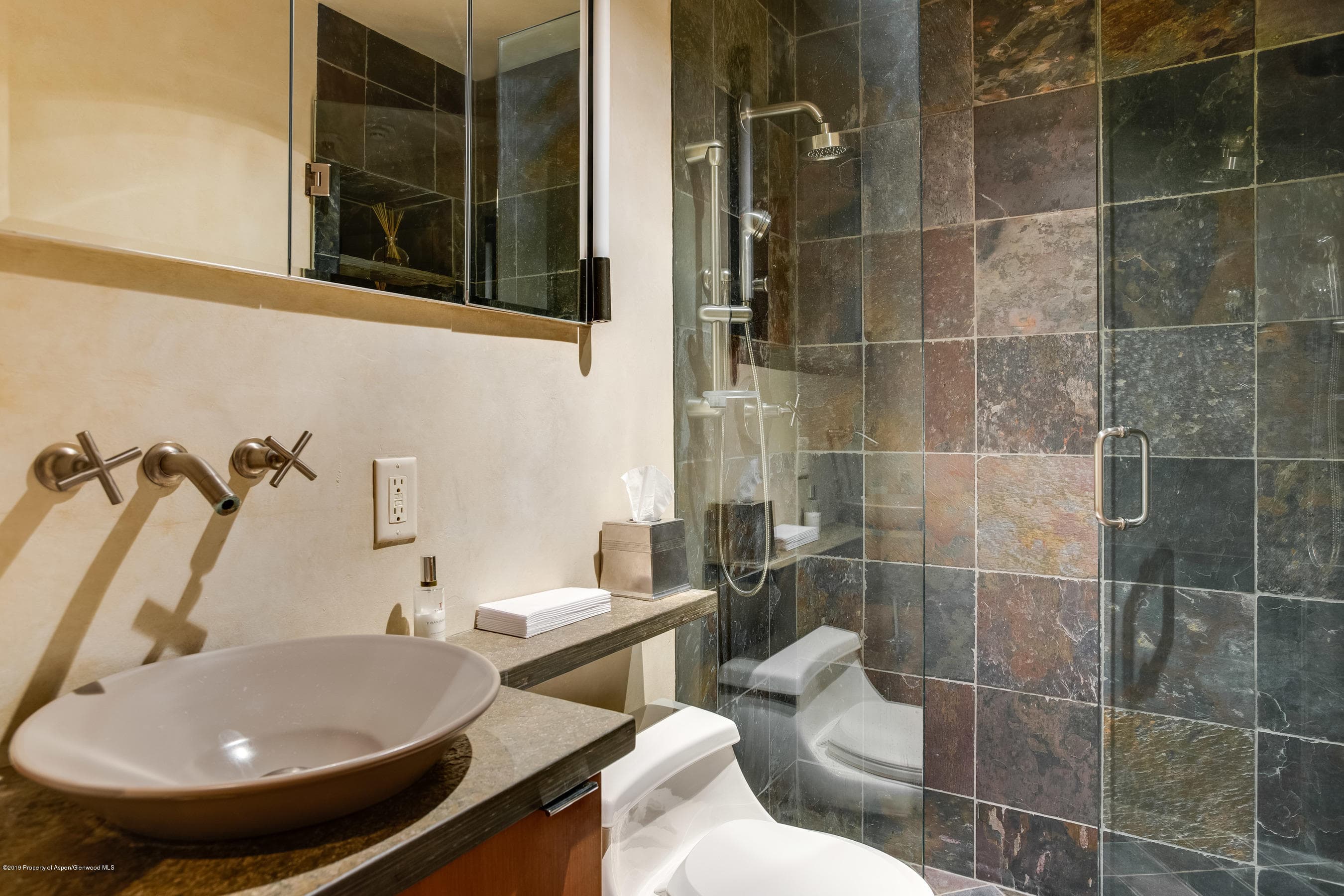 534 E Hopkins Avenue, Aspen, CO 81611 - Photo 13