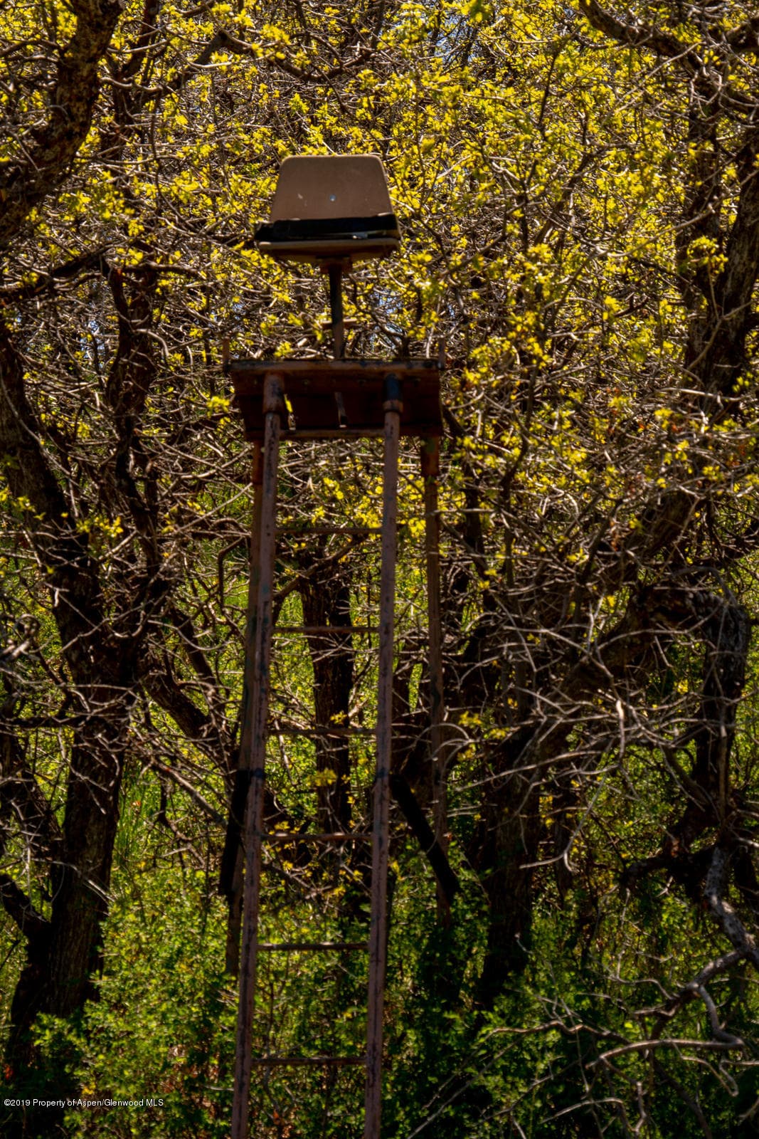 TBD Highway 13 south, Meeker, CO 81641 - Photo 8