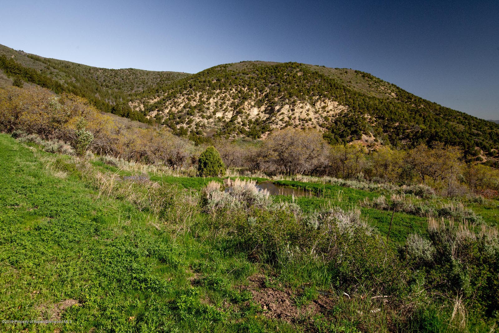 TBD Highway 13 south, Meeker, CO 81641 - Photo 11