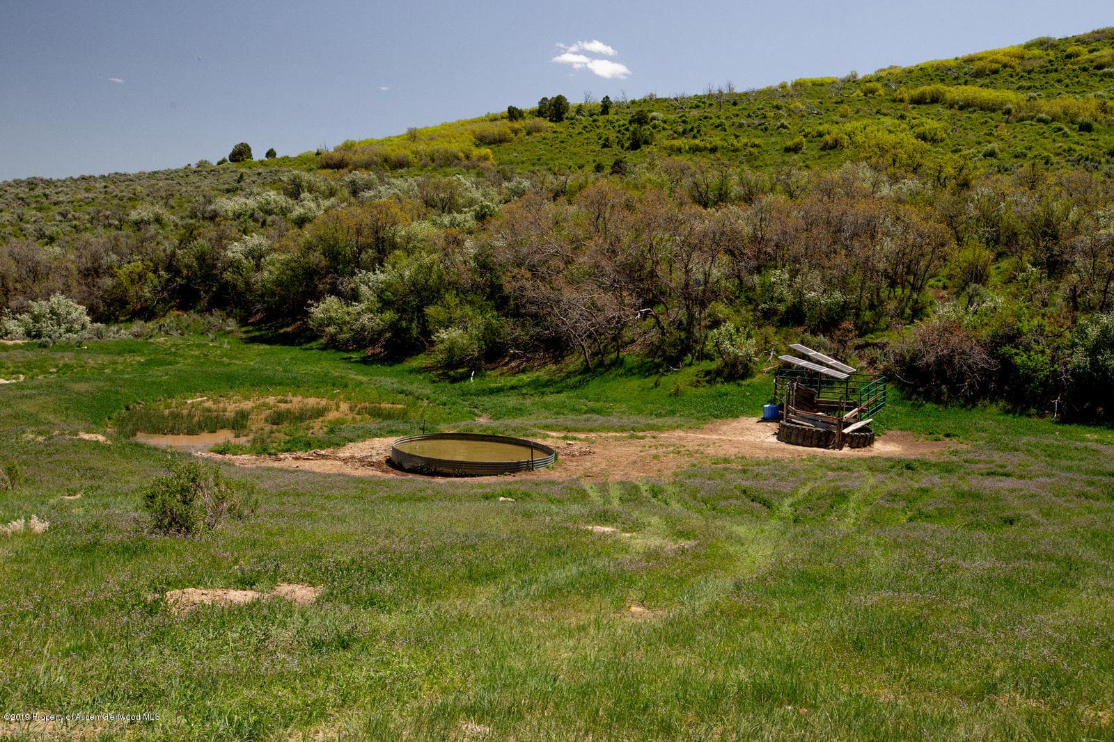 TBD Highway 13 south, Meeker, CO 81641 - Photo 14