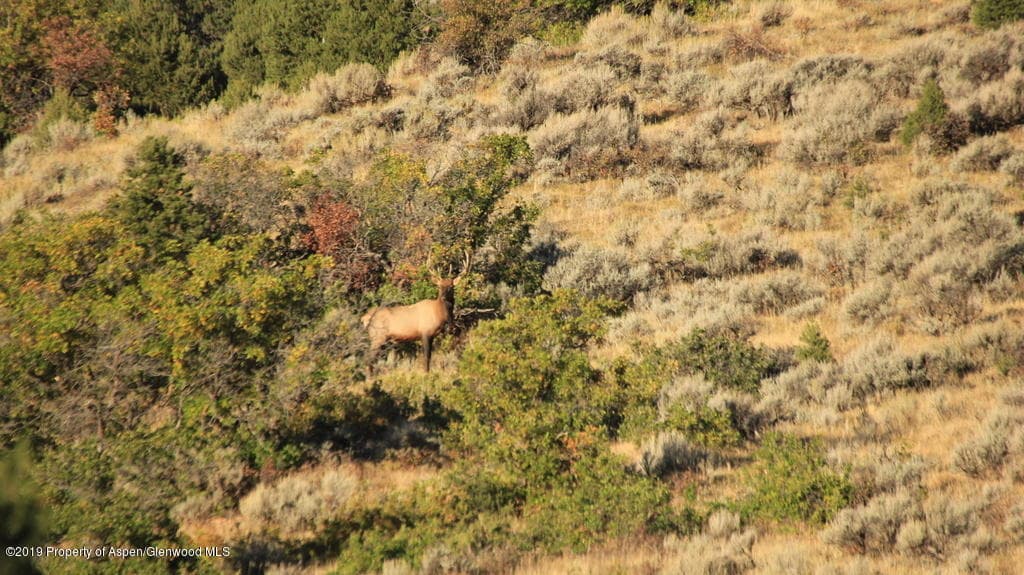 TBD Highway 13 south, Meeker, CO 81641 - Photo 20