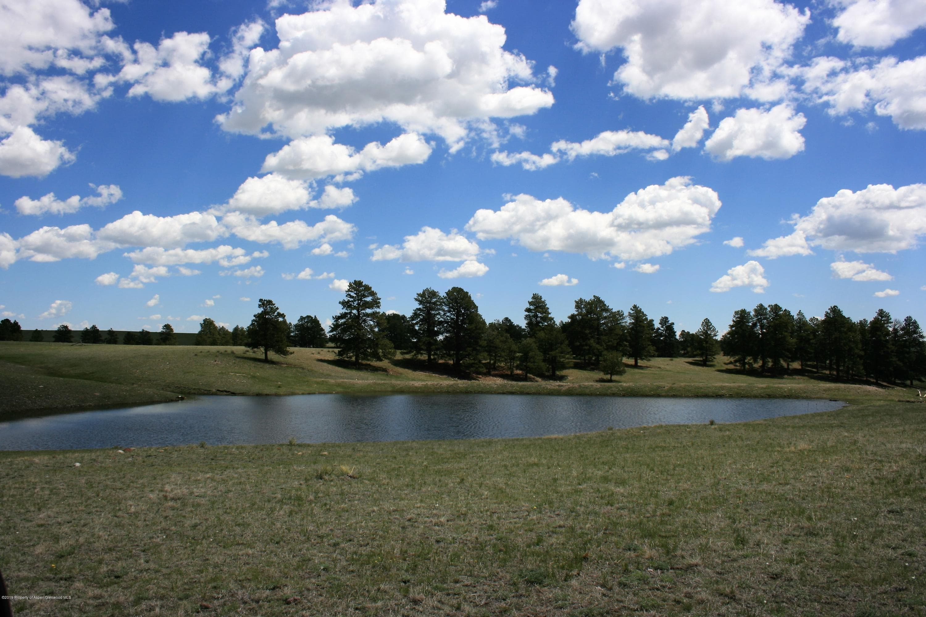TBD Co Rd 94, Elbert, CO 80106 - Photo 4