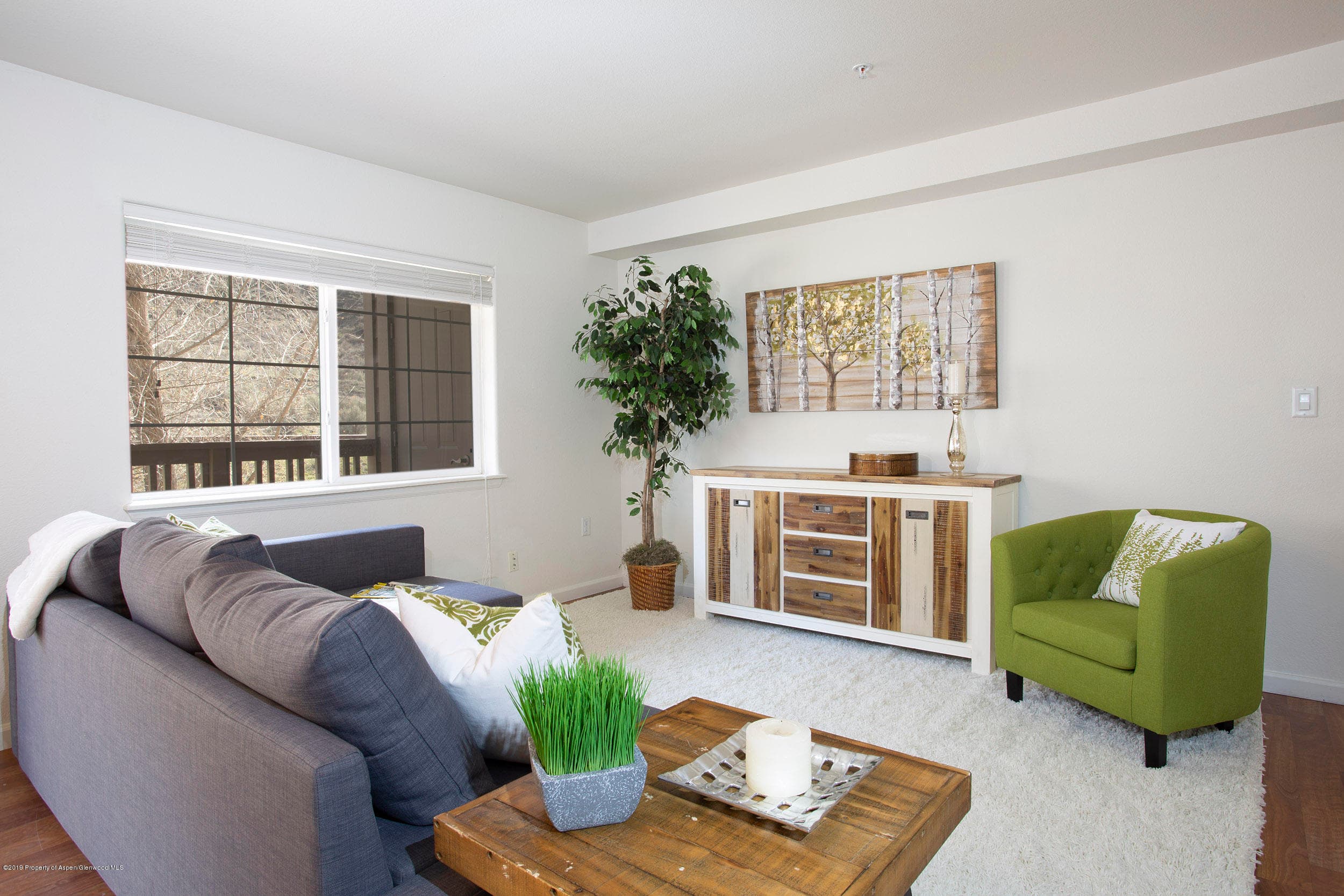 544 River View Drive 603, New Castle, CO 81647 - Photo 5