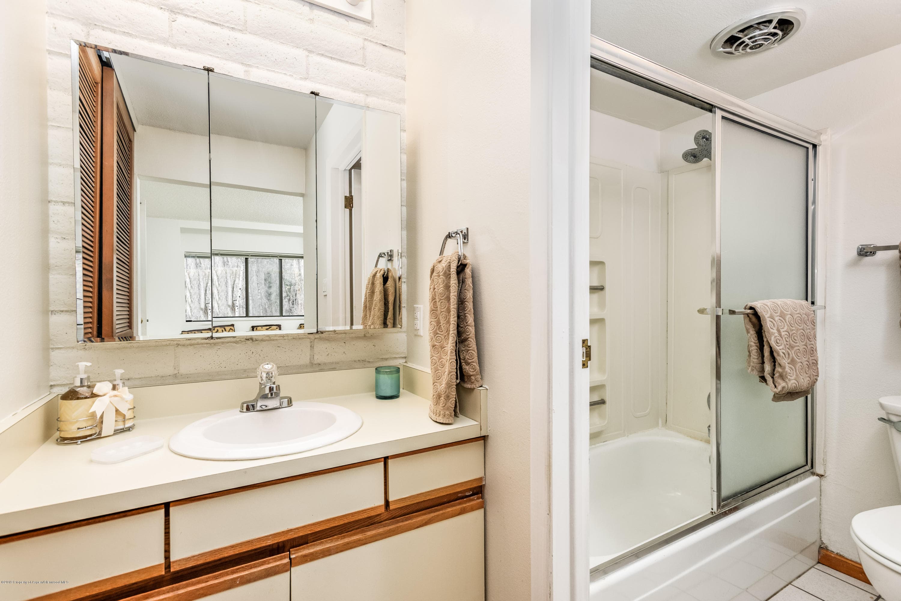 414 Vine Street, Aspen, CO 81611 - Photo 6