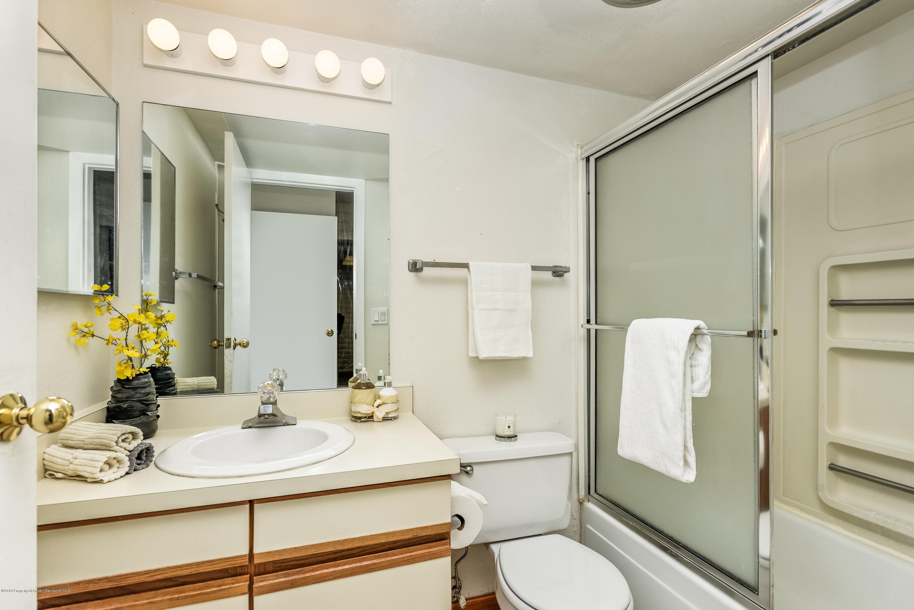 414 Vine Street, Aspen, CO 81611 - Photo 10