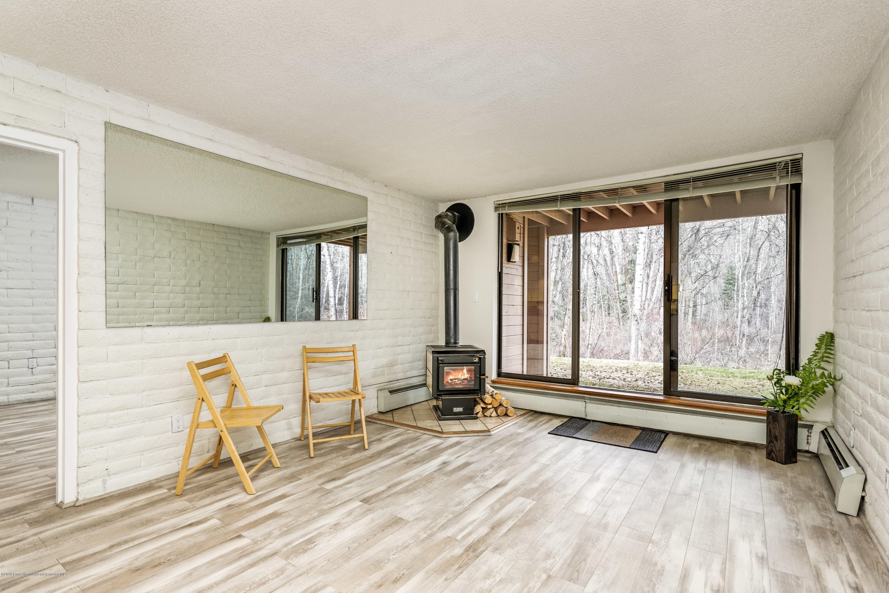 414 Vine Street, Aspen, CO 81611 - Photo 3