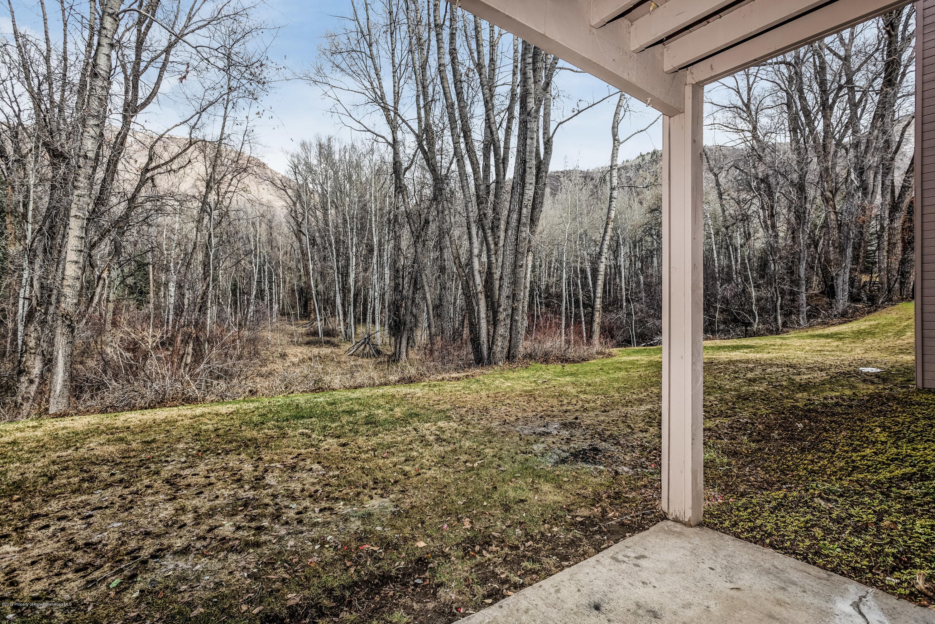 414 Vine Street, Aspen, CO 81611 - Photo 12