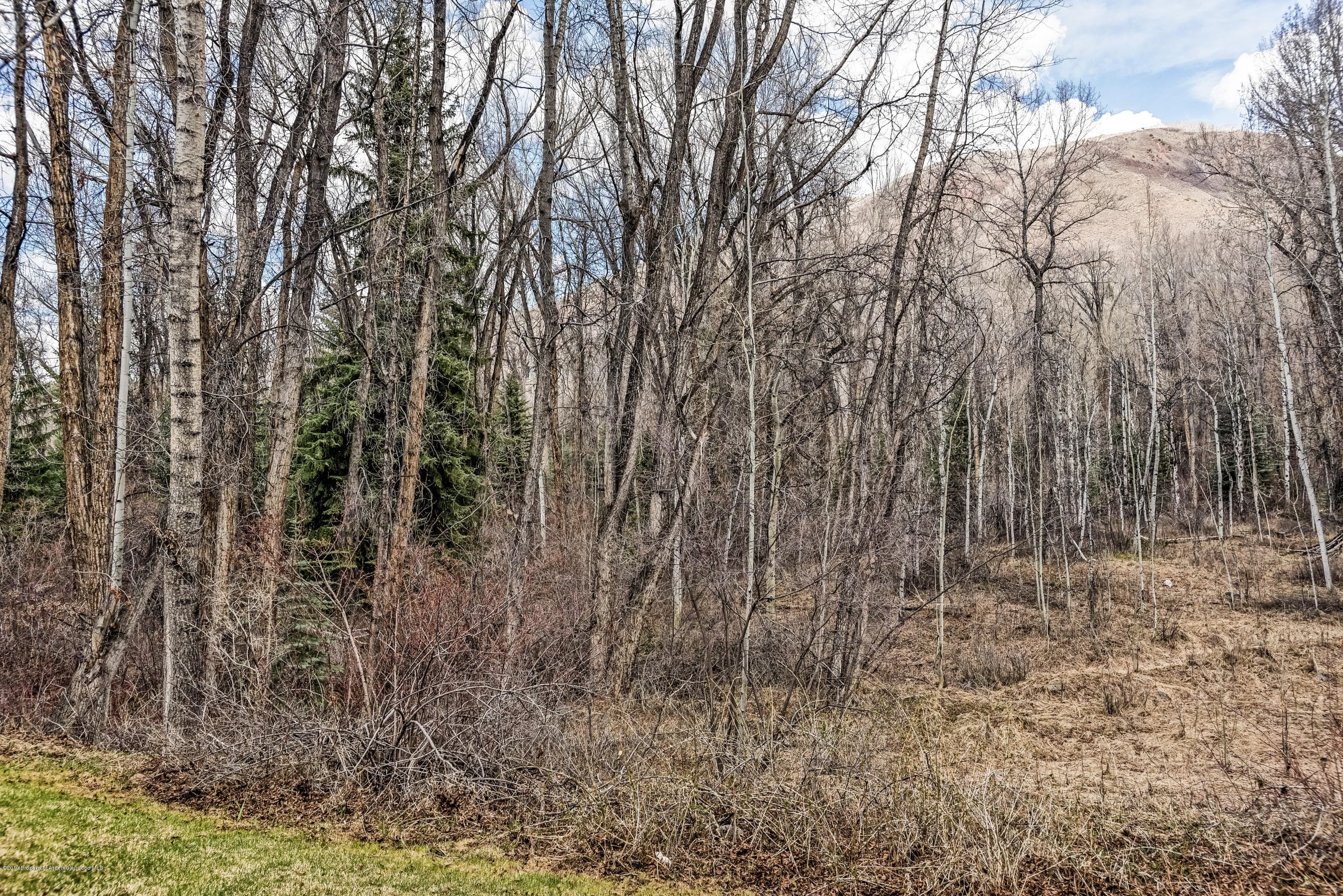 414 Vine Street, Aspen, CO 81611 - Photo 19