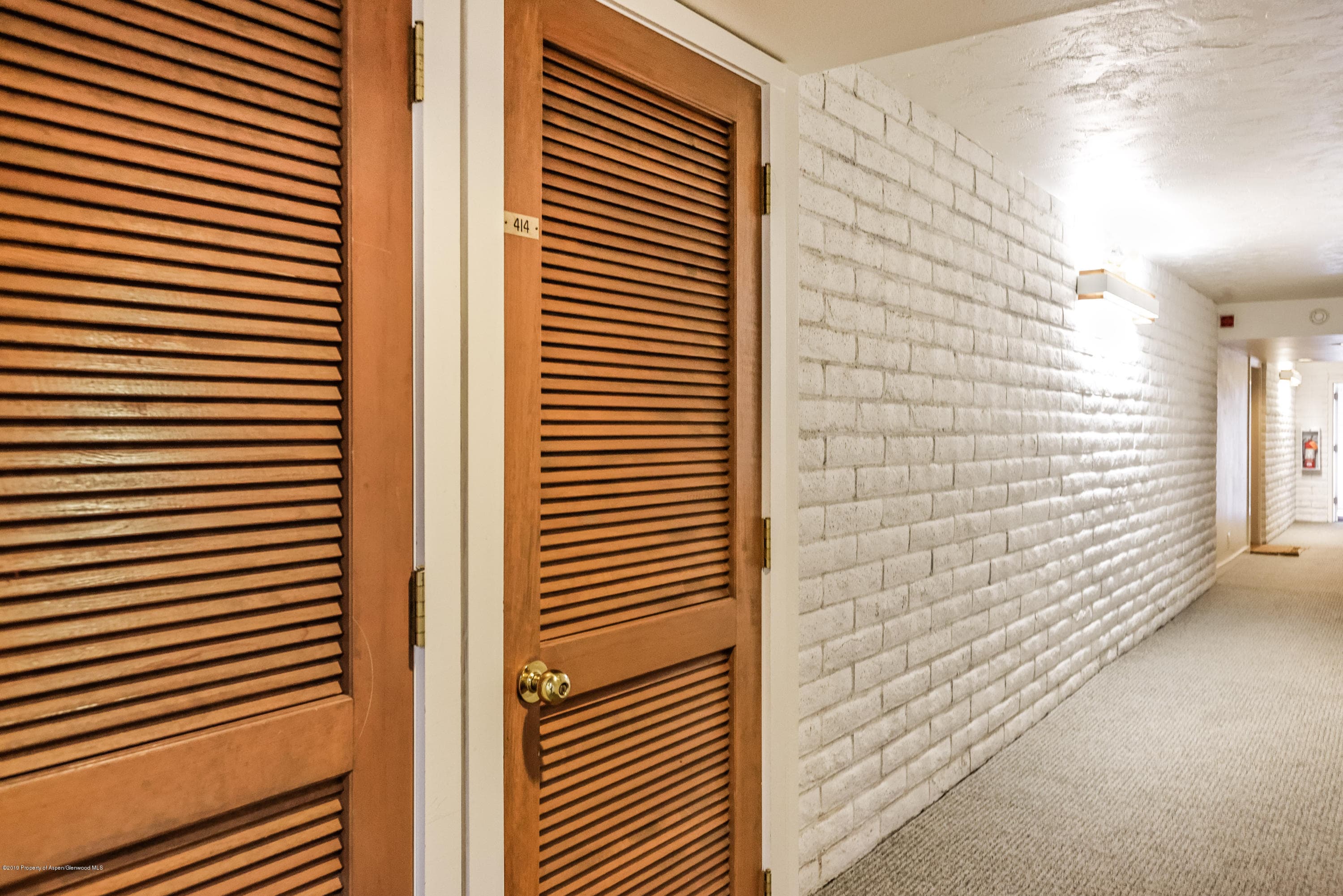 414 Vine Street, Aspen, CO 81611 - Photo 18