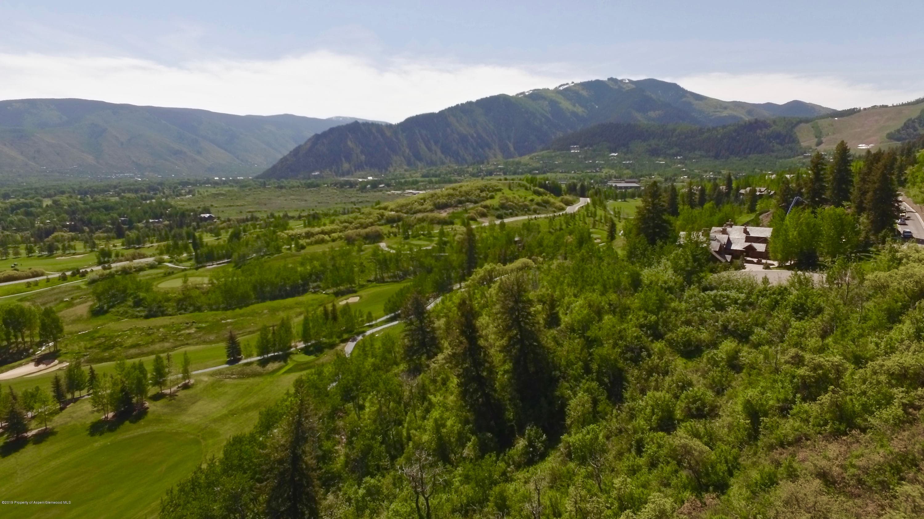 699 Pfister, Aspen, CO 81611 - Photo 7