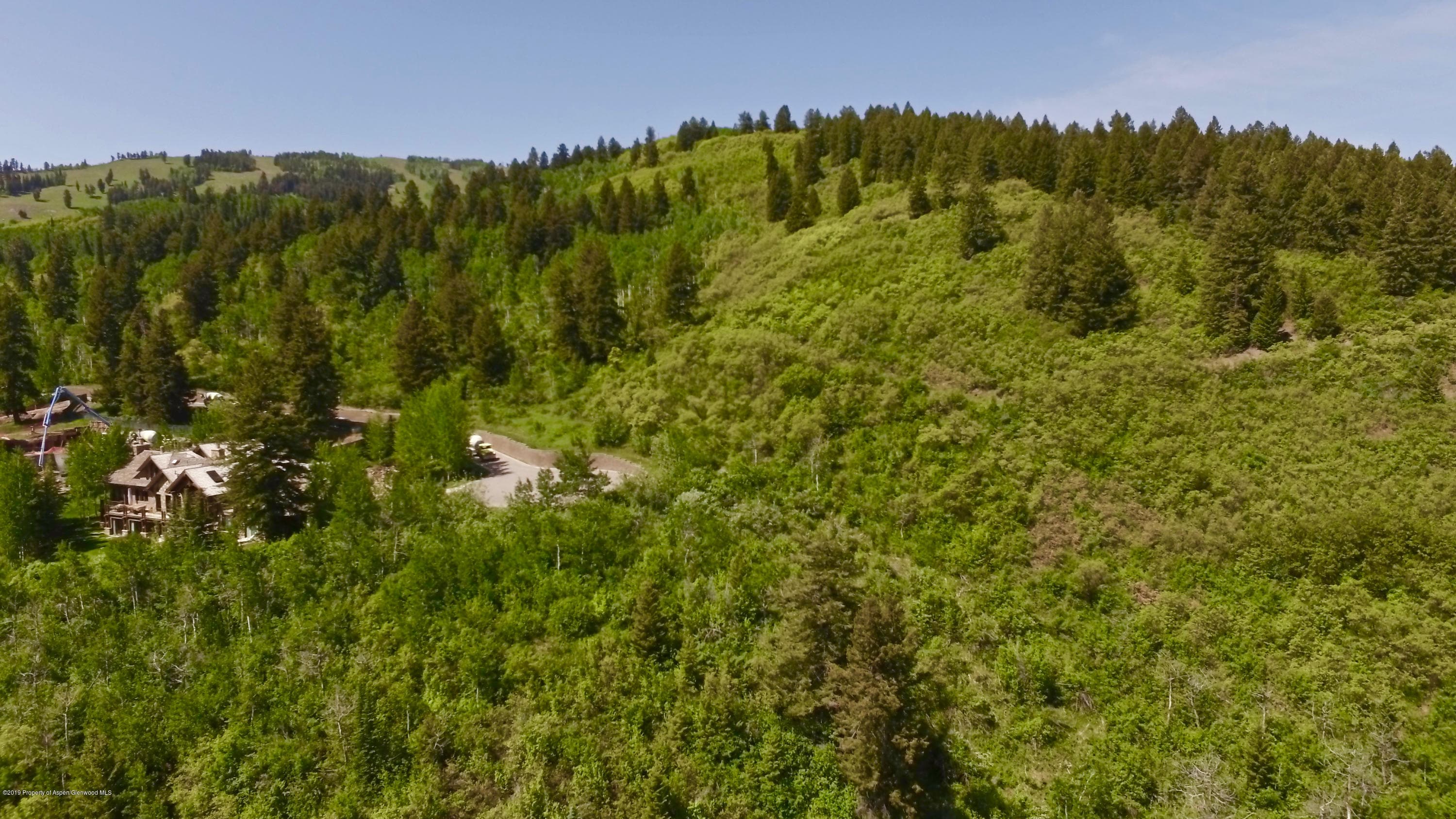 699 Pfister, Aspen, CO 81611 - Photo 4