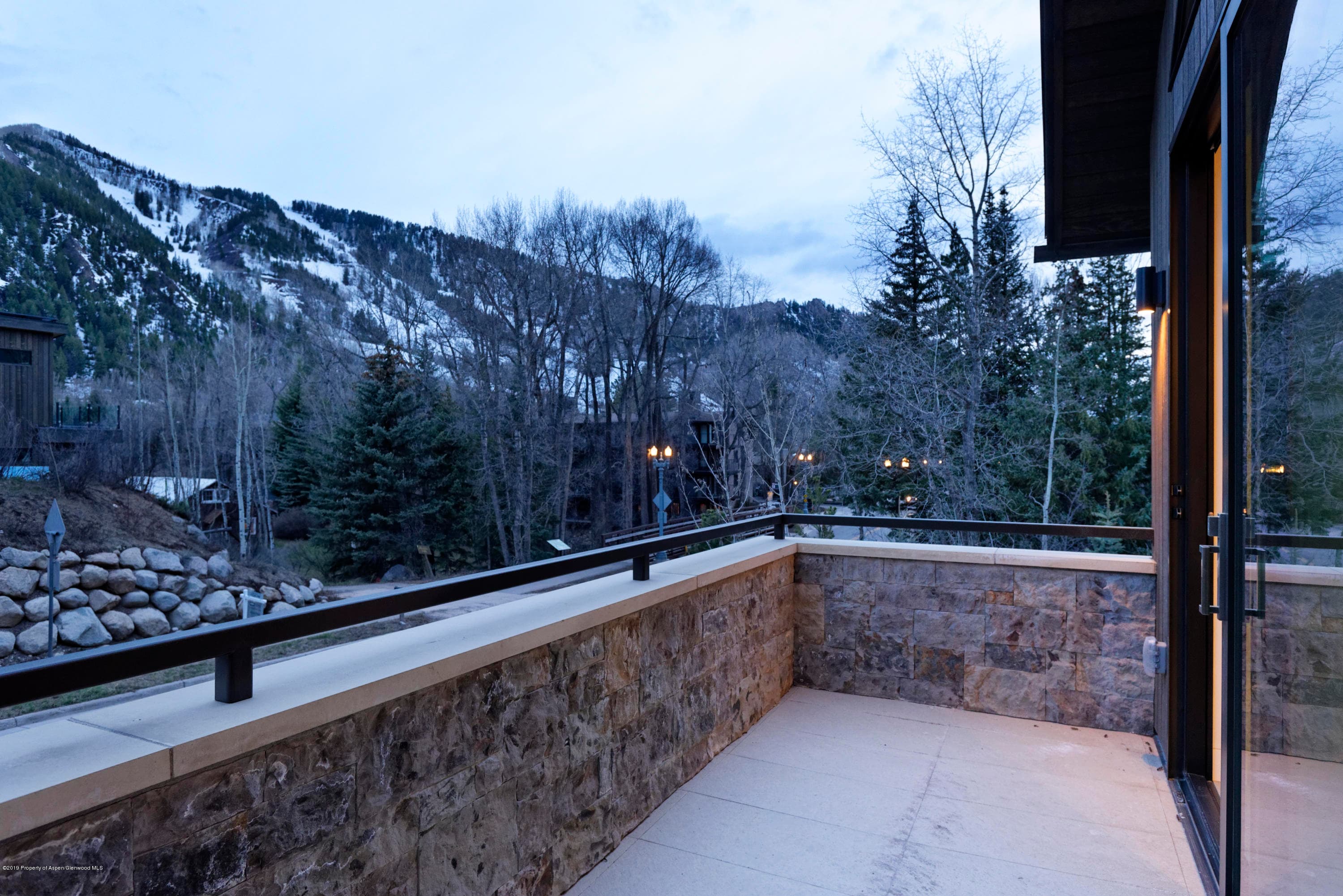 1154 E Cooper Avenue, Aspen, CO 81611 - Photo 25