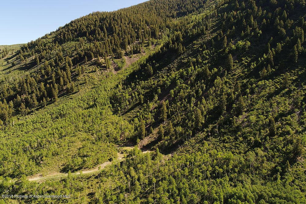 7414 Castle Creek Road, Aspen, CO 81611 - Photo 7