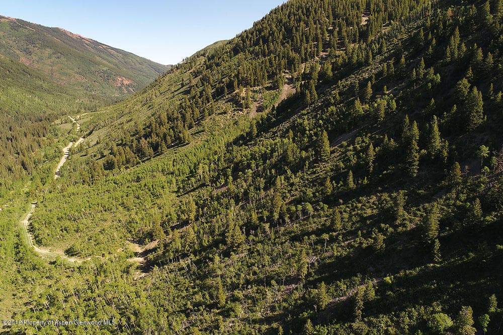 7414 Castle Creek Road, Aspen, CO 81611 - Photo 9