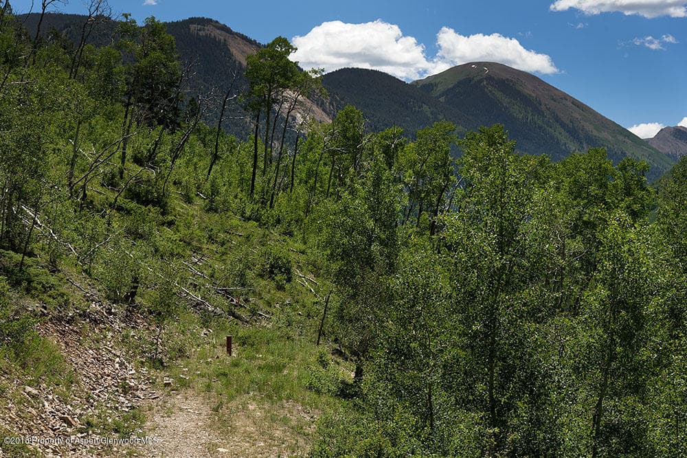 7414 Castle Creek Road, Aspen, CO 81611 - Photo 10
