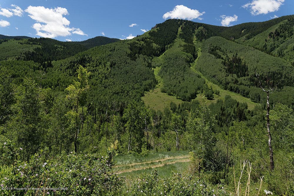 7414 Castle Creek Road, Aspen, CO 81611 - Photo 3