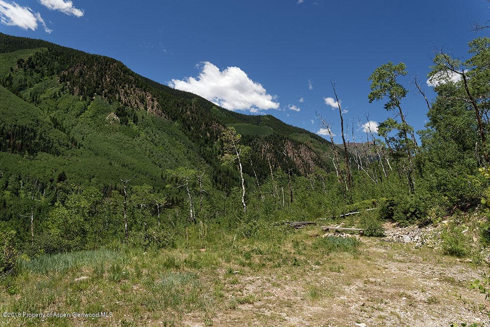 7414 Castle Creek Road, Aspen, CO 81611 - Photo 12