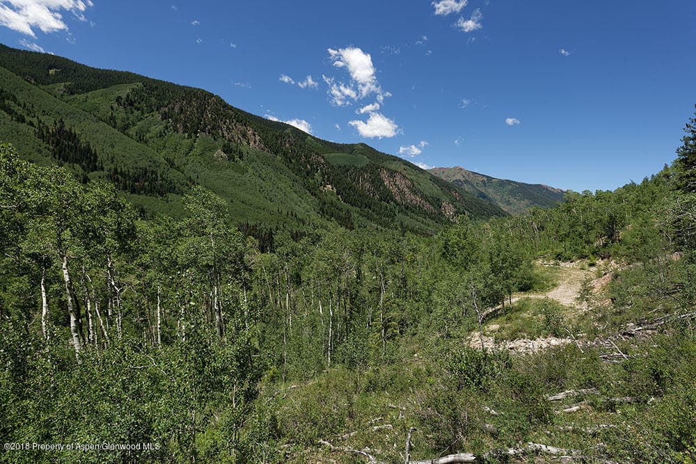7414 Castle Creek Road, Aspen, CO 81611 - Photo 11