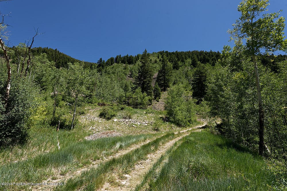 7414 Castle Creek Road, Aspen, CO 81611 - Photo 14