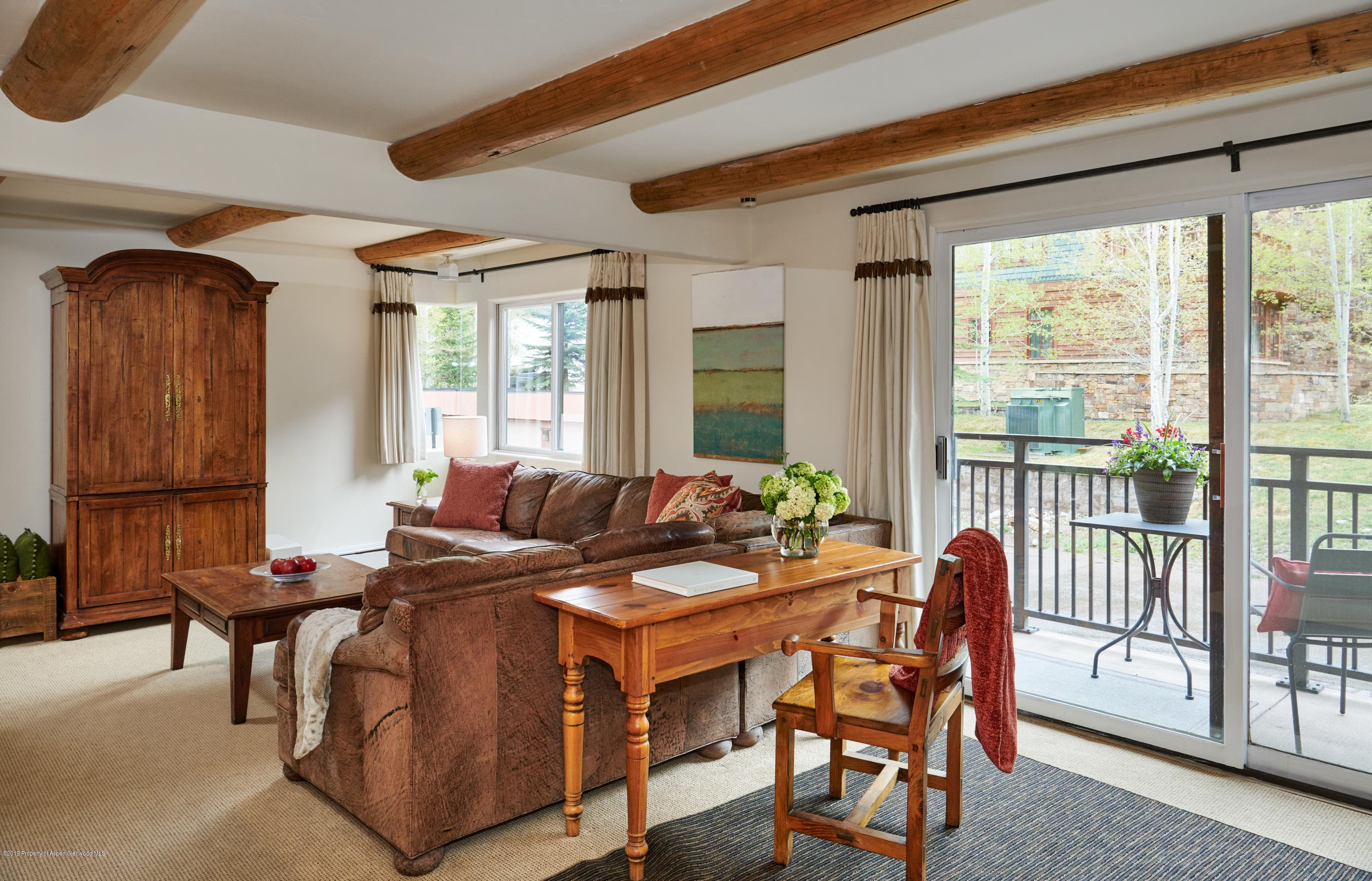 700 S Monarch Street 201, Aspen, CO 81611 - Photo 4
