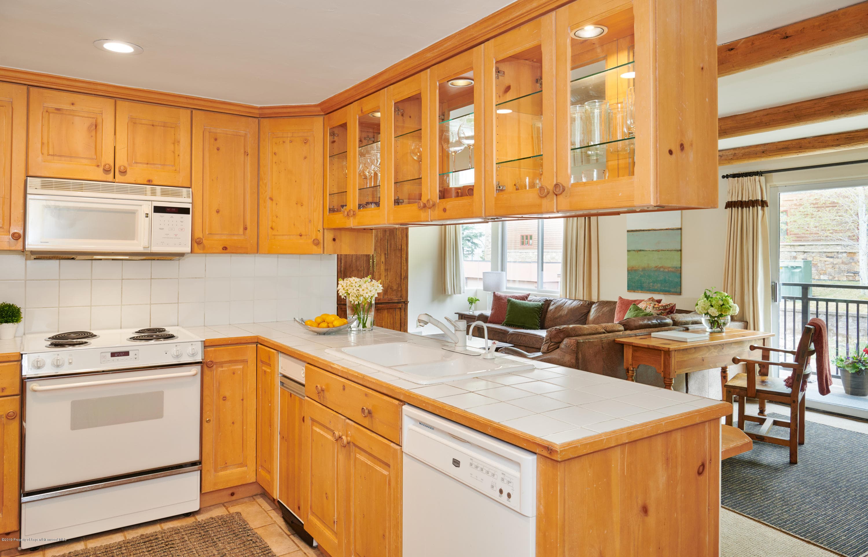 700 S Monarch Street 201, Aspen, CO 81611 - Photo 7