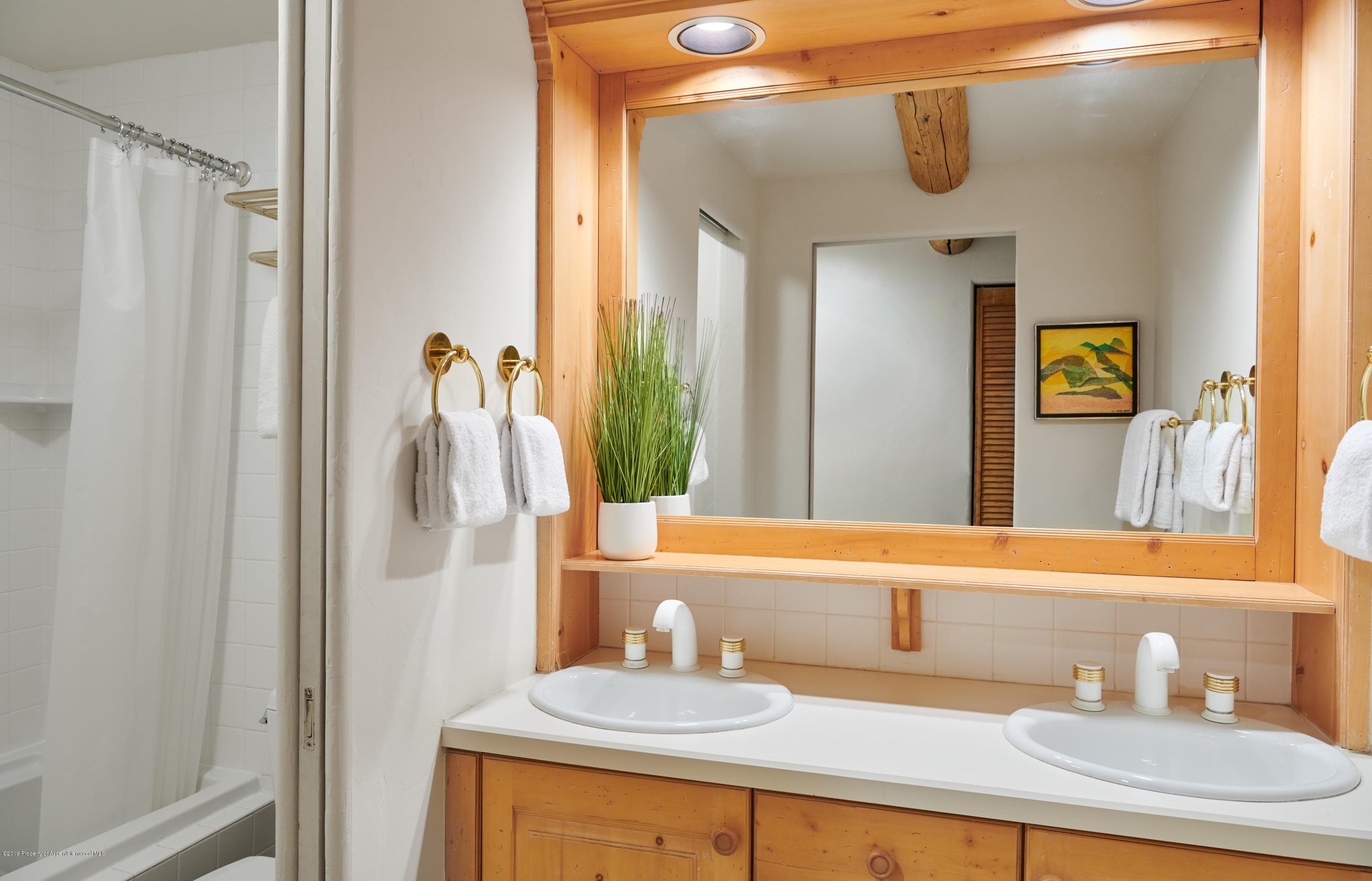 700 S Monarch Street 201, Aspen, CO 81611 - Photo 9