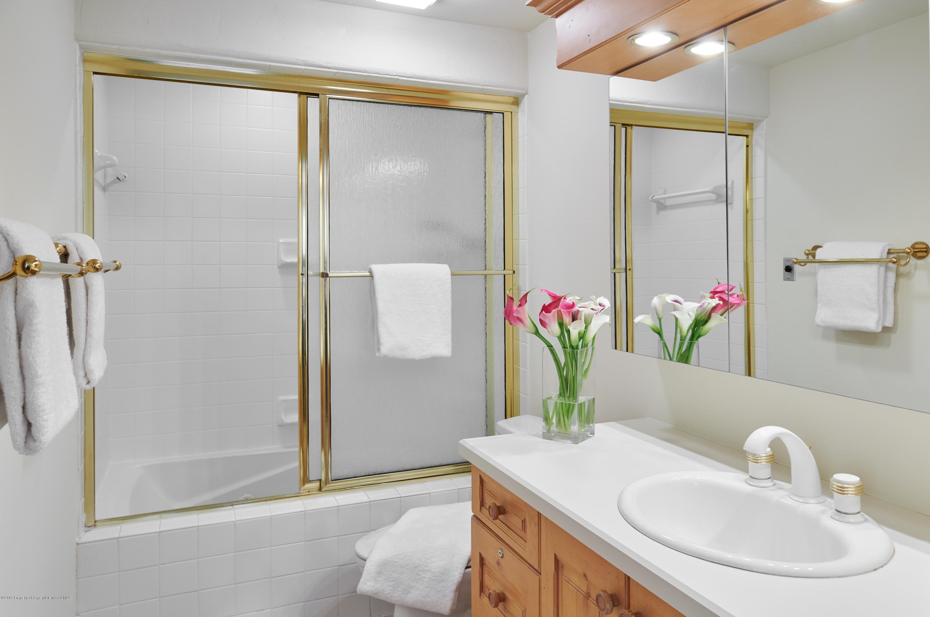 700 S Monarch Street 201, Aspen, CO 81611 - Photo 11