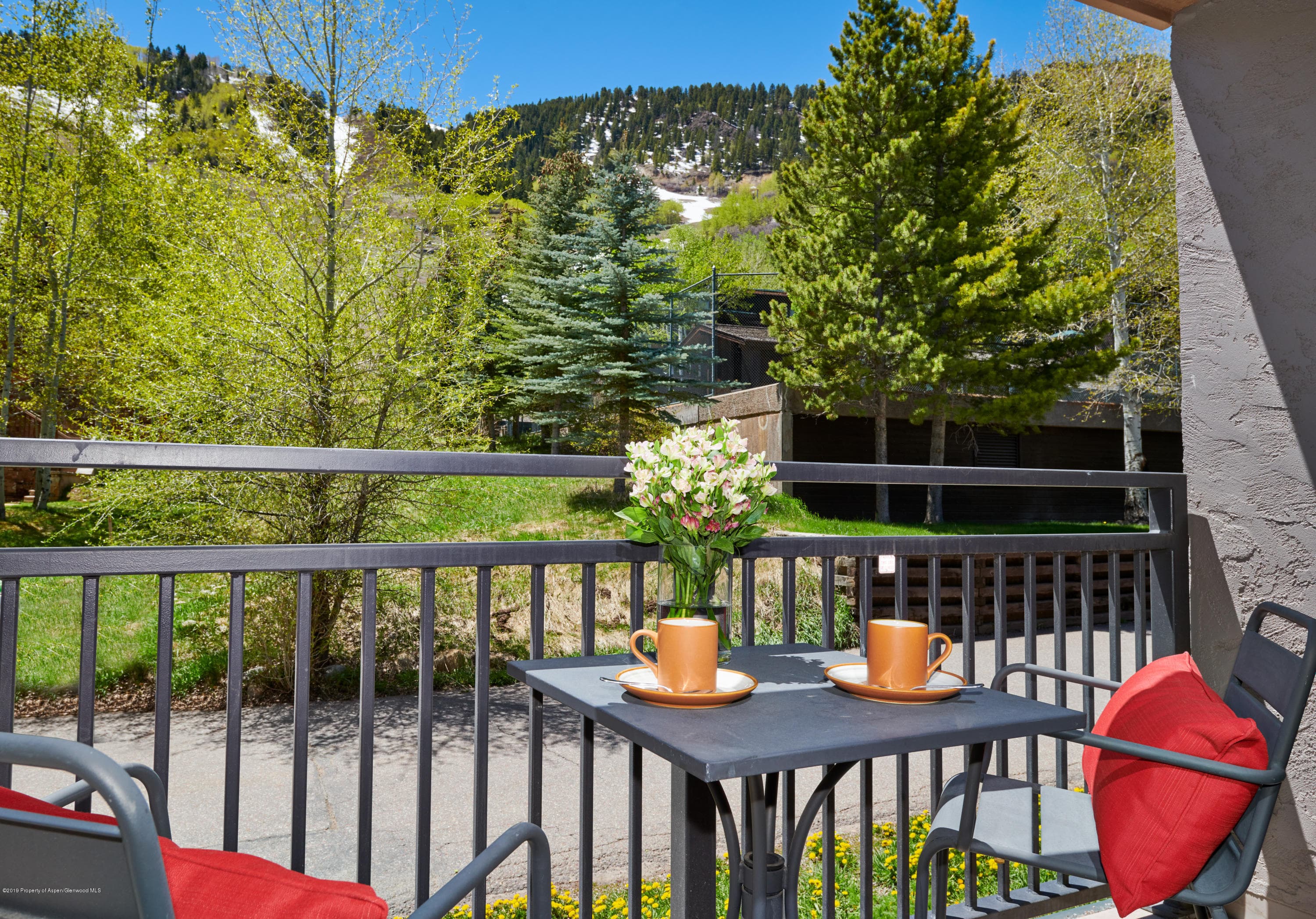 700 S Monarch Street 201, Aspen, CO 81611 - Photo 14