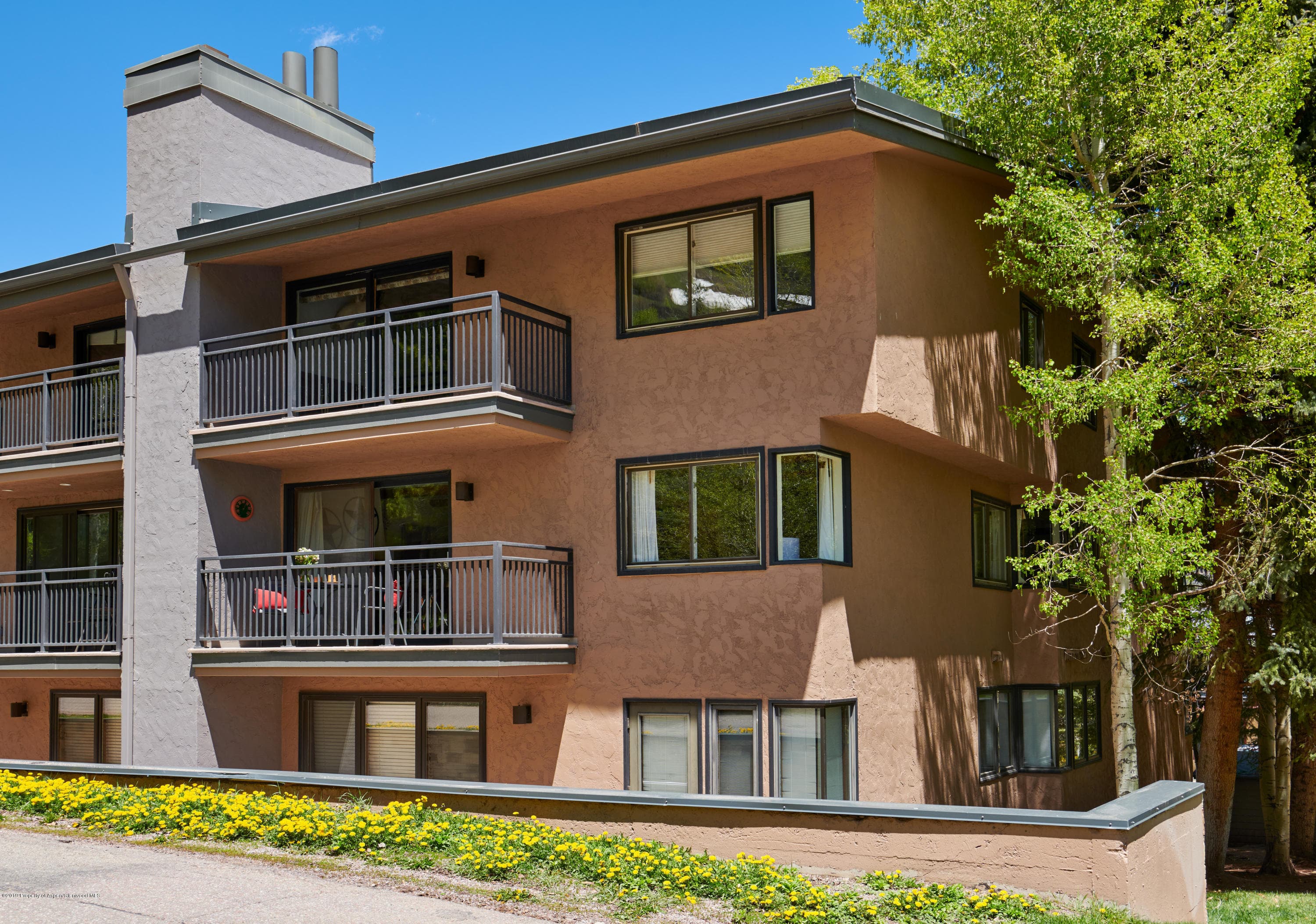 700 S Monarch Street 201, Aspen, CO 81611 - Photo 15