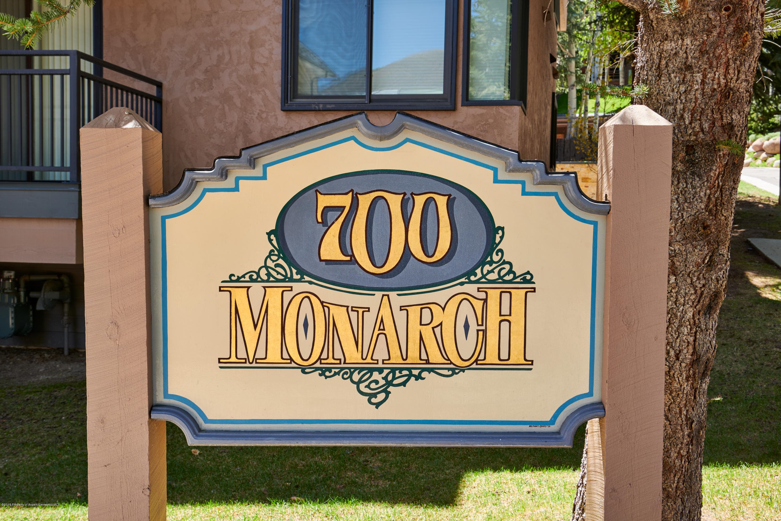 700 S Monarch Street 201, Aspen, CO 81611 - Photo 16