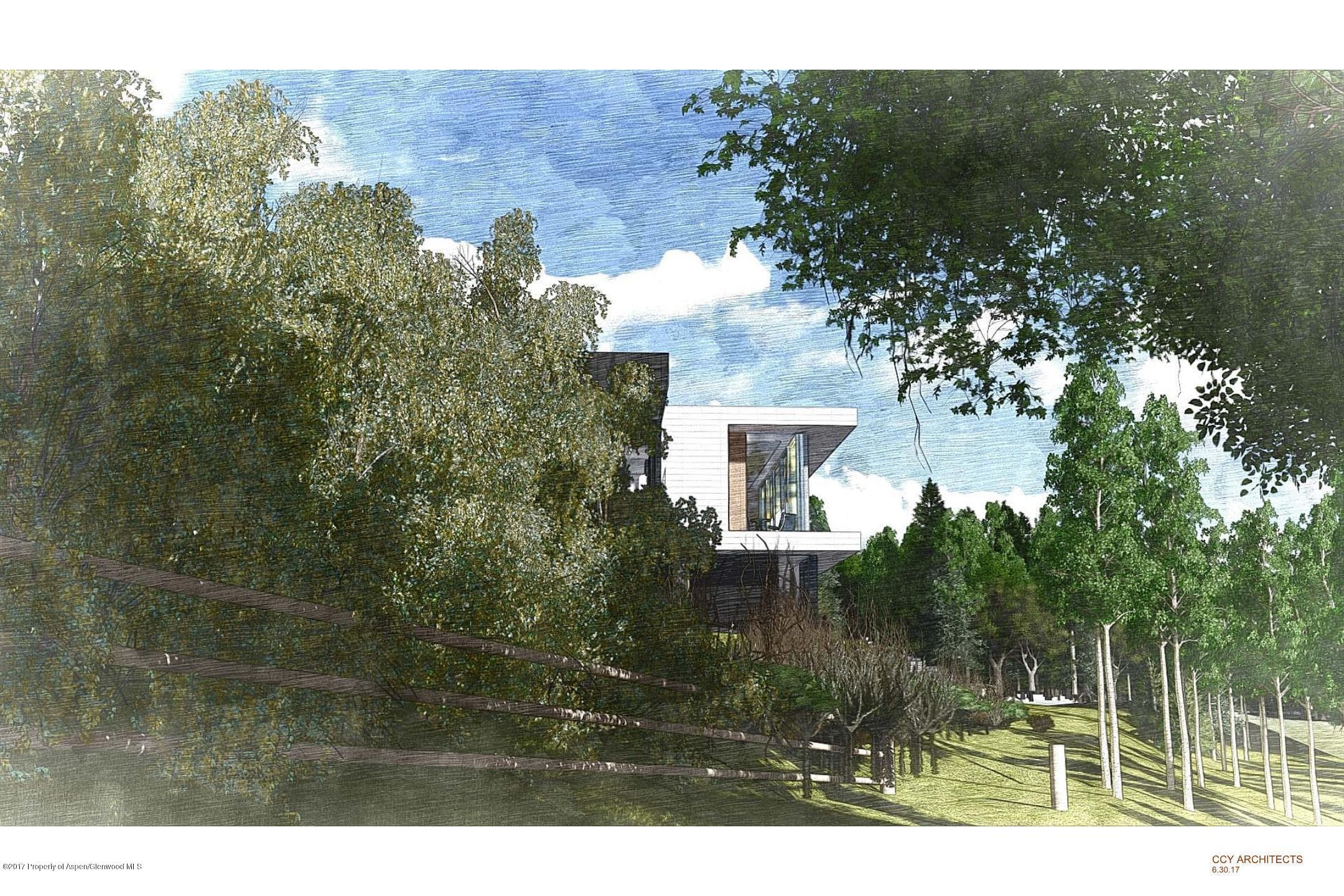 71 Pitkin Way, Aspen, CO 81611 - Photo 4