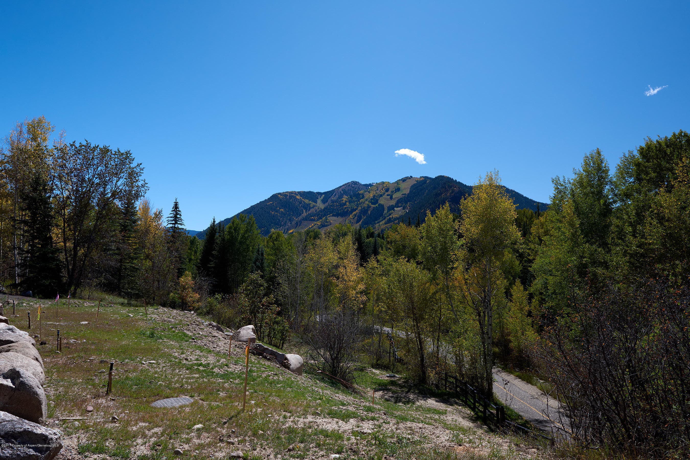 71 Pitkin Way, Aspen, CO 81611 - Photo 10