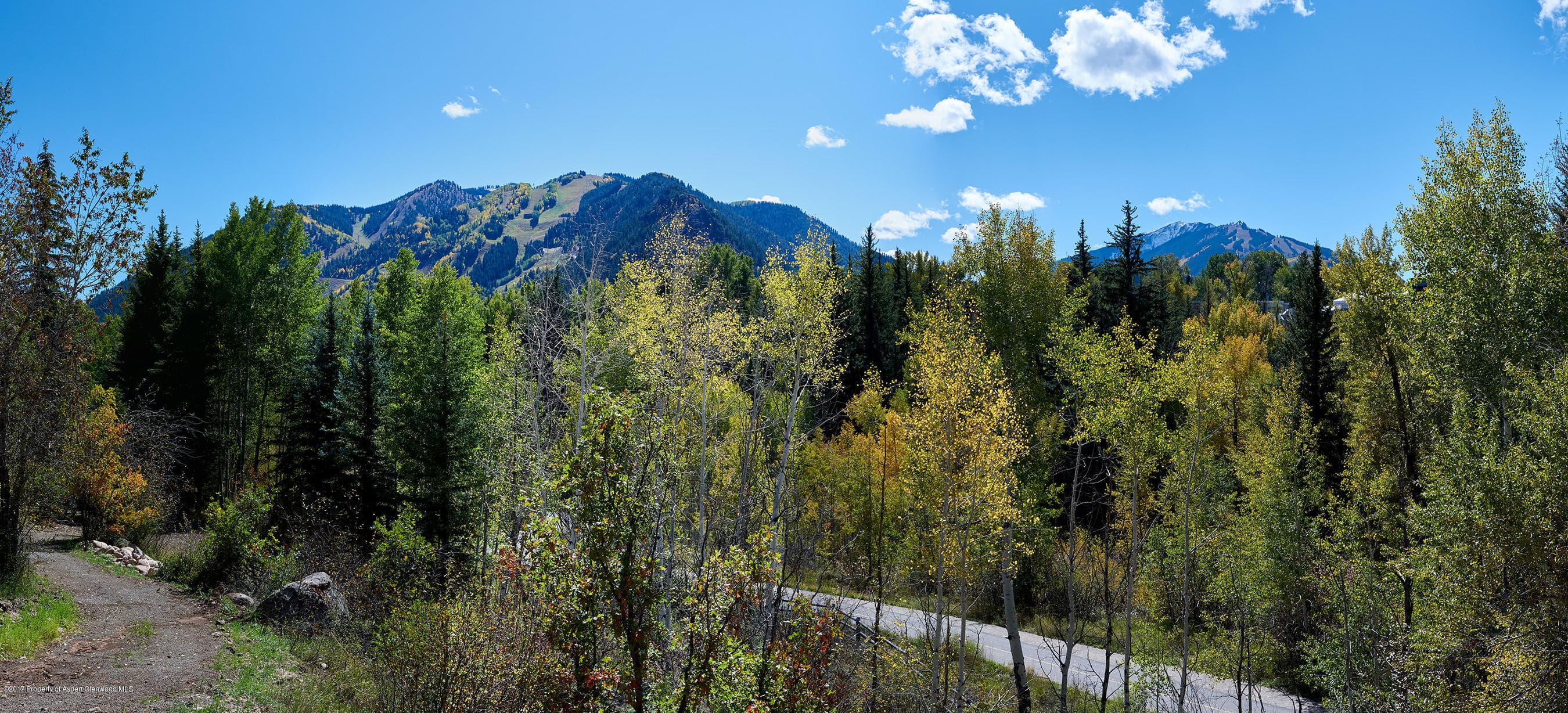 71 Pitkin Way, Aspen, CO 81611 - Photo 13