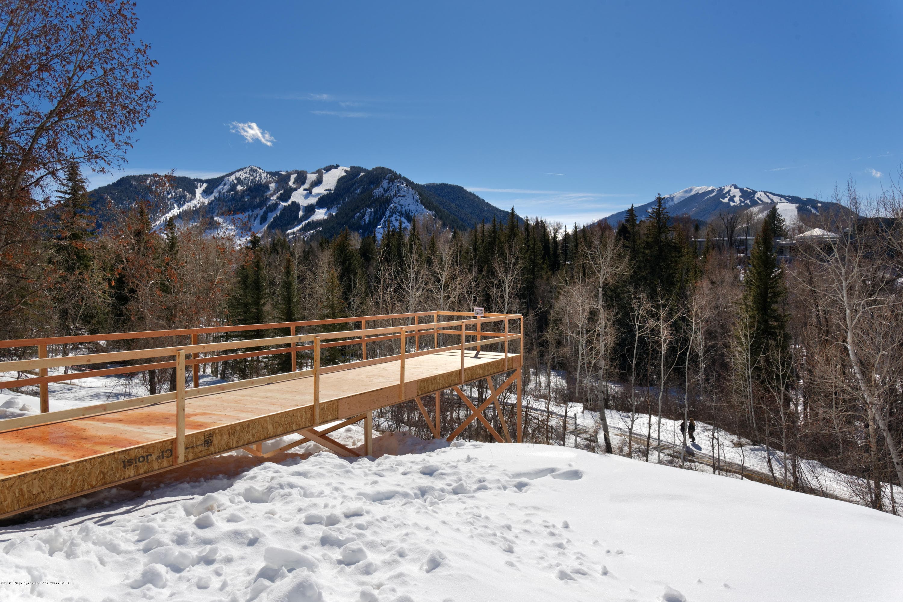 71 Pitkin Way, Aspen, CO 81611 - Photo 43