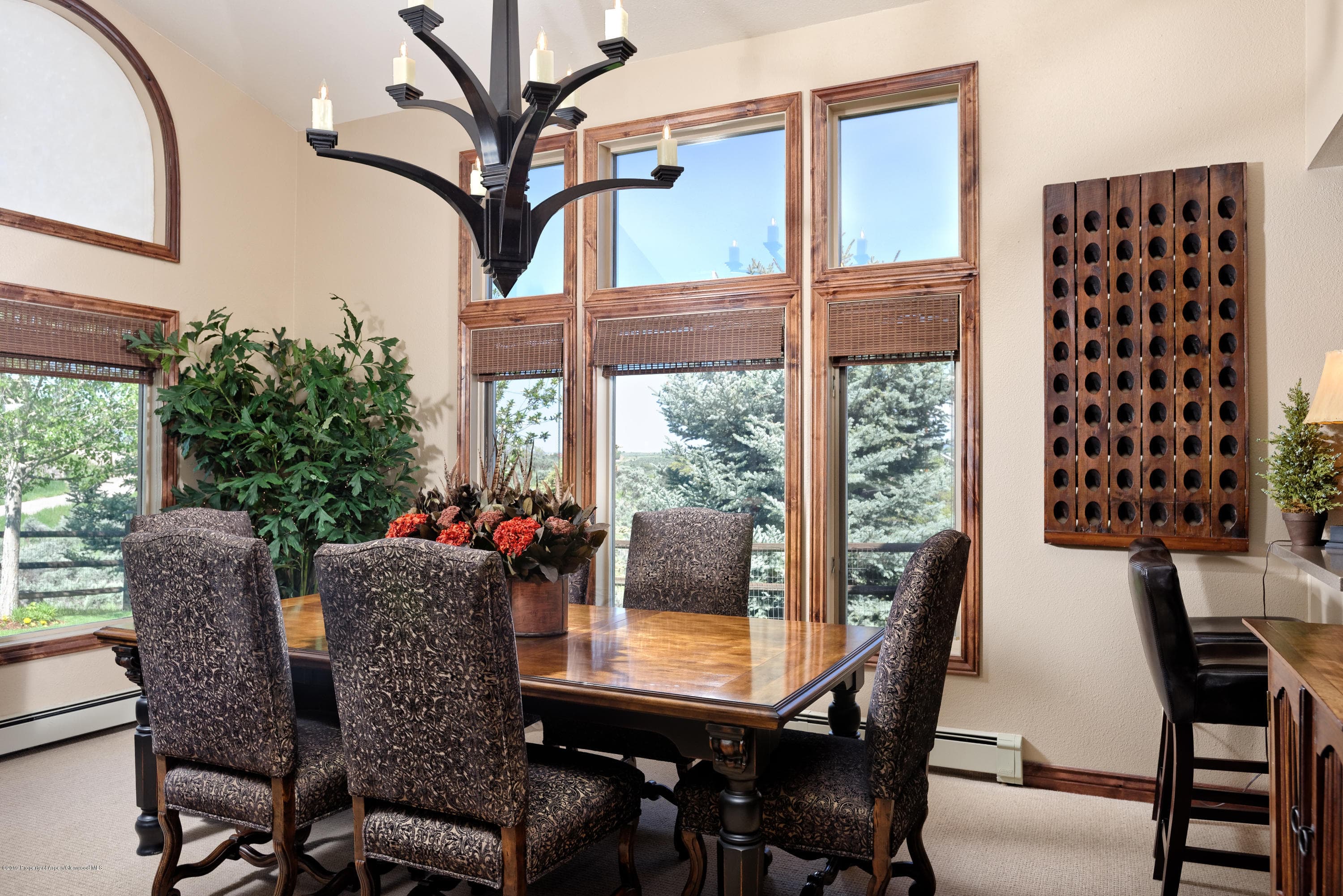 479 Escalante Road, Carbondale, CO 81623 - Photo 10