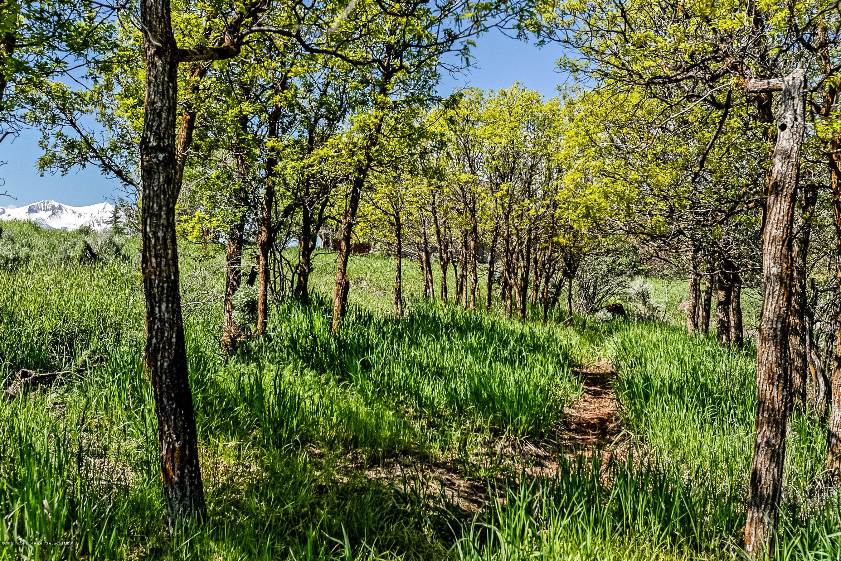 479 Escalante Road, Carbondale, CO 81623 - Photo 24