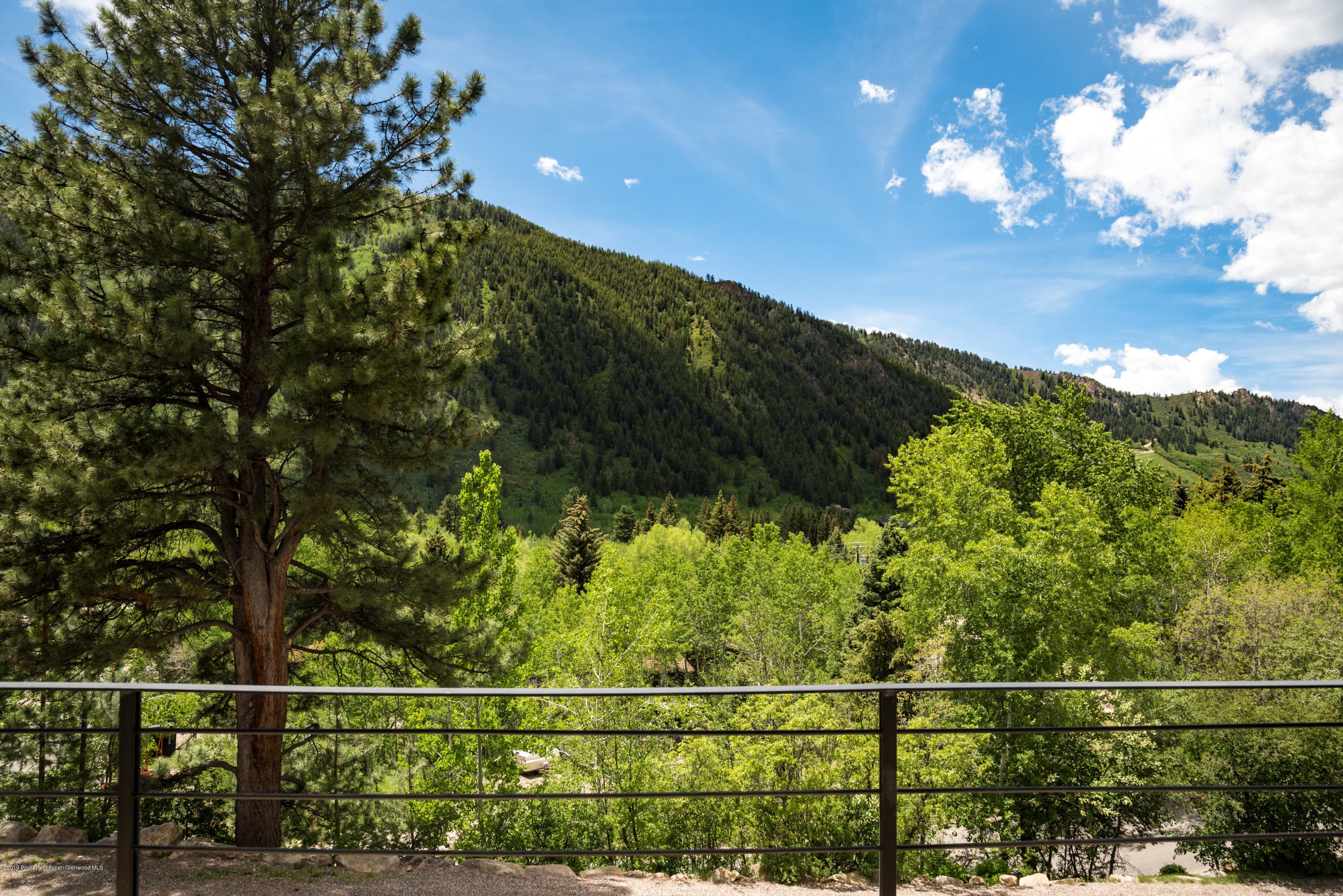 95 W Lupine Drive, Aspen, CO 81611 - Photo 30