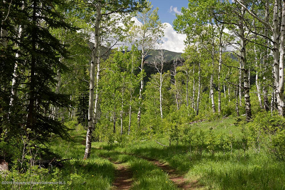TBD Frying Pan Road, Basalt, CO 81621 - Photo 16