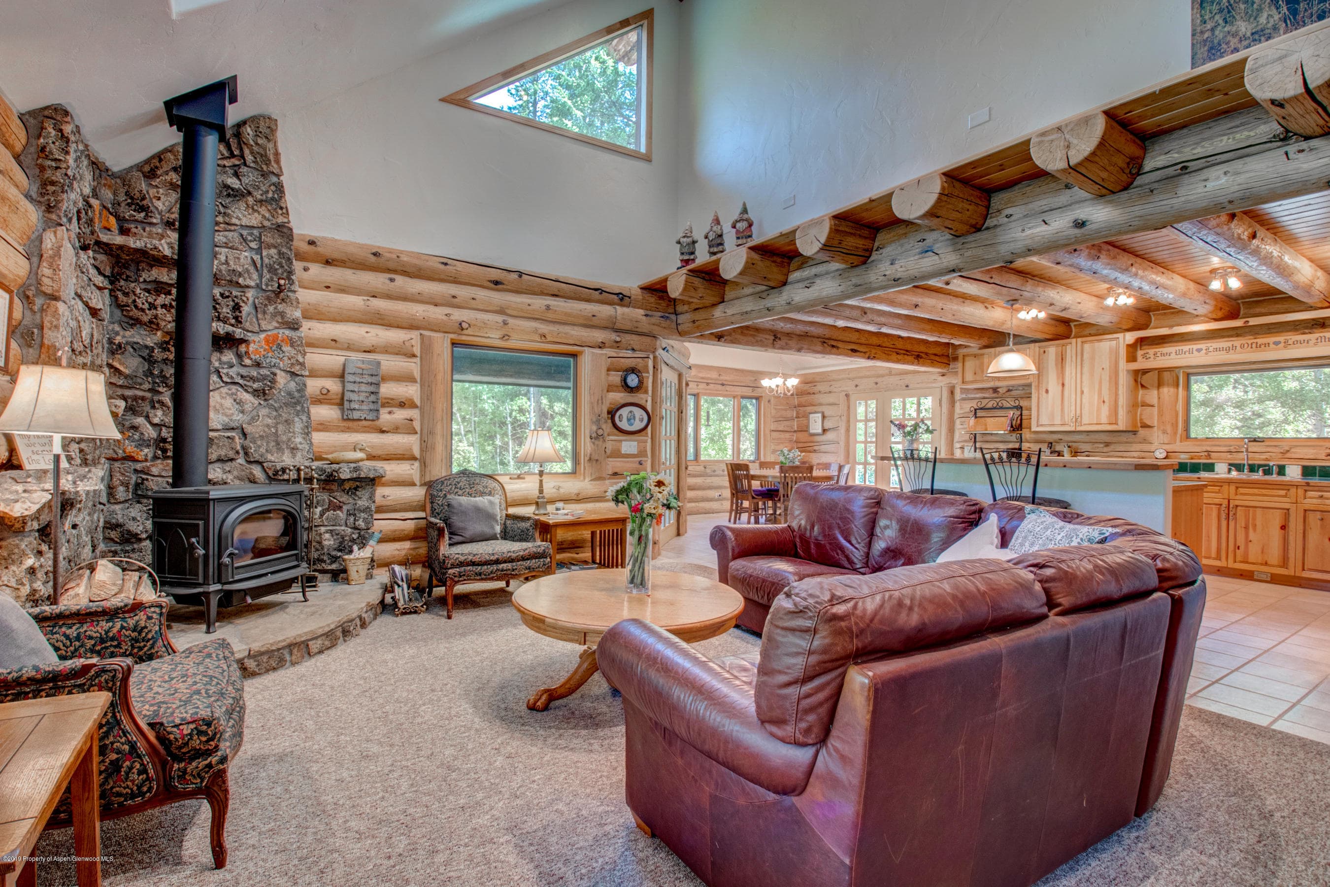 25183 Frying Pan Road, Meredith, CO 81642 - Photo 17