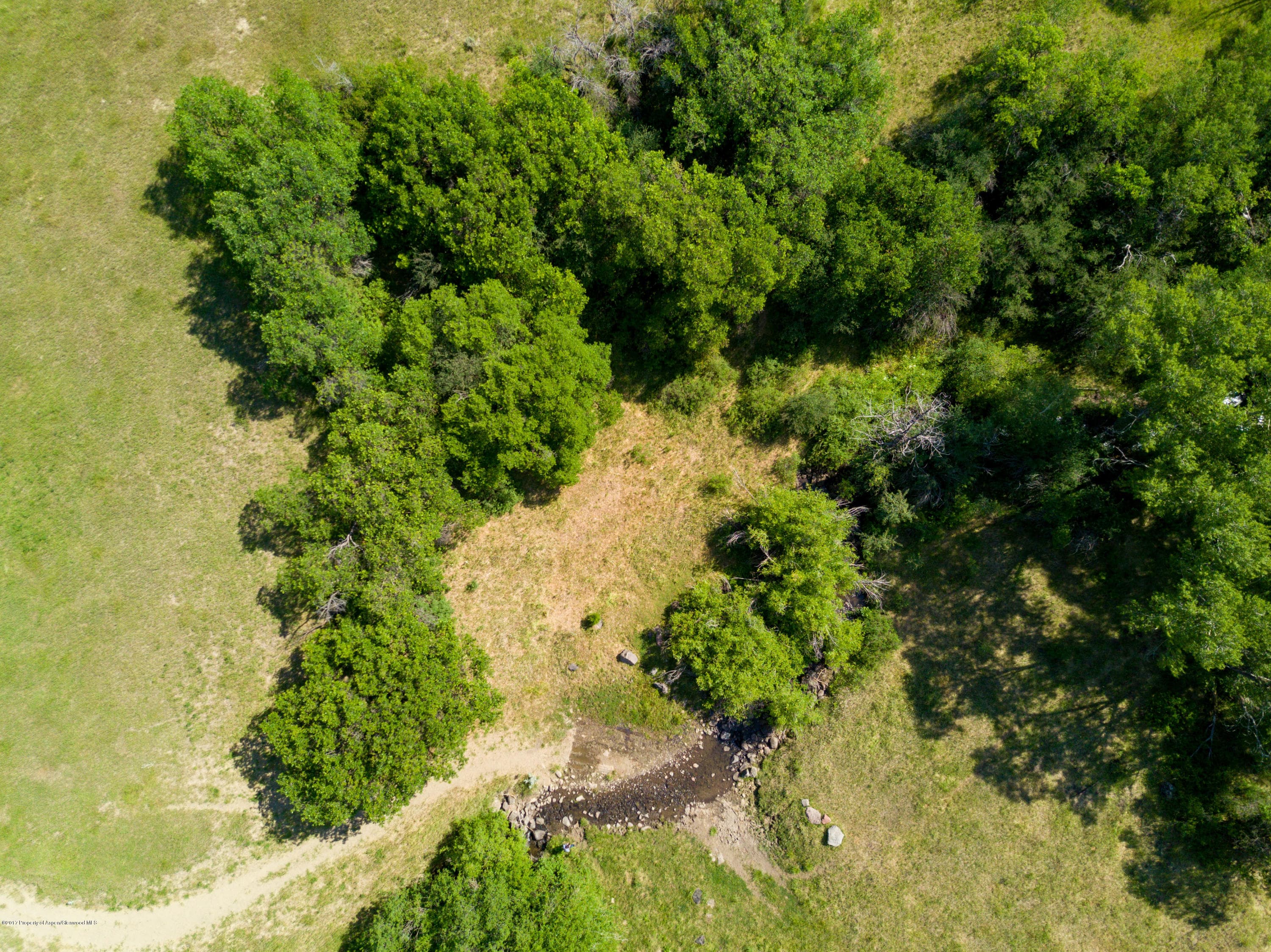 TBD County Road 312, New Castle, CO 81647 - Photo 10